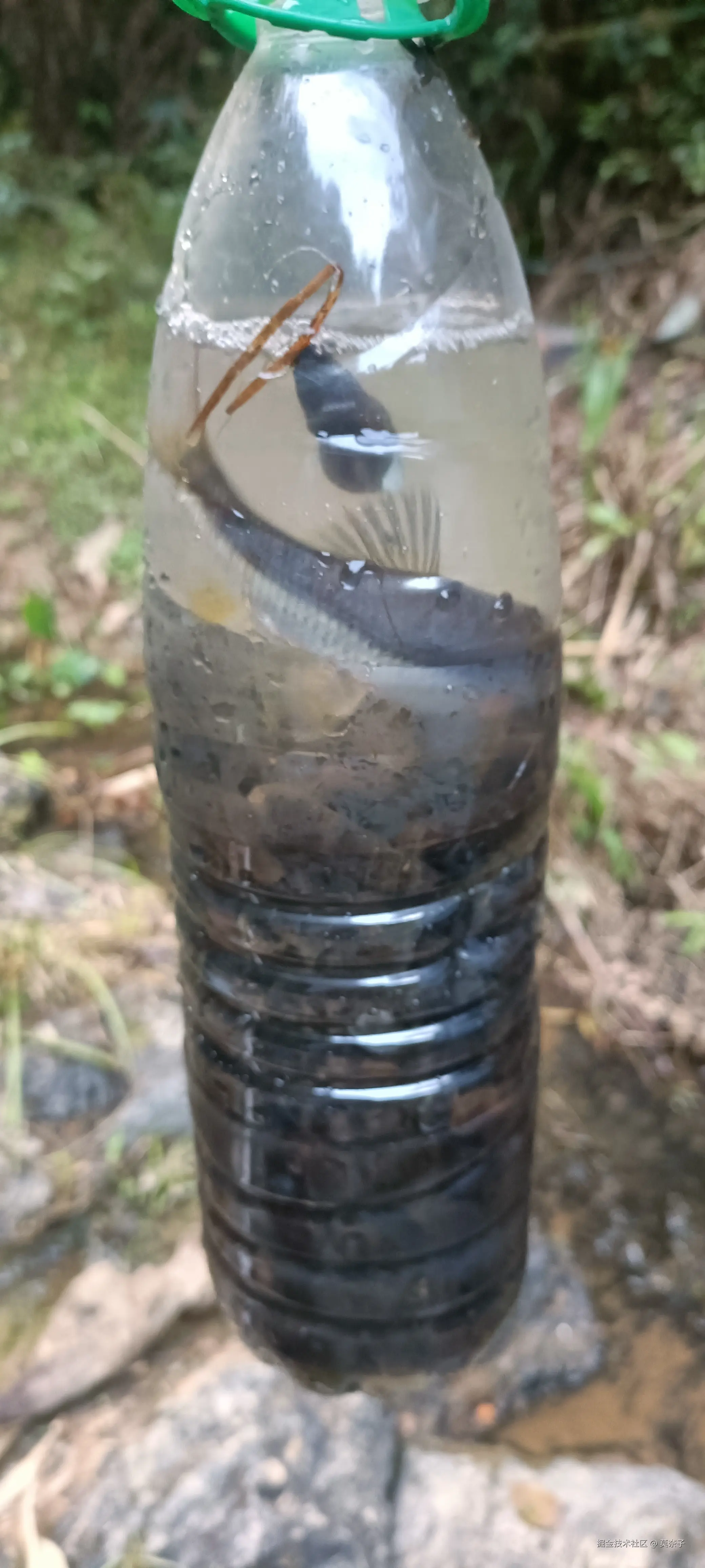 莫奈子于2025-03-27 18:39发布的图片