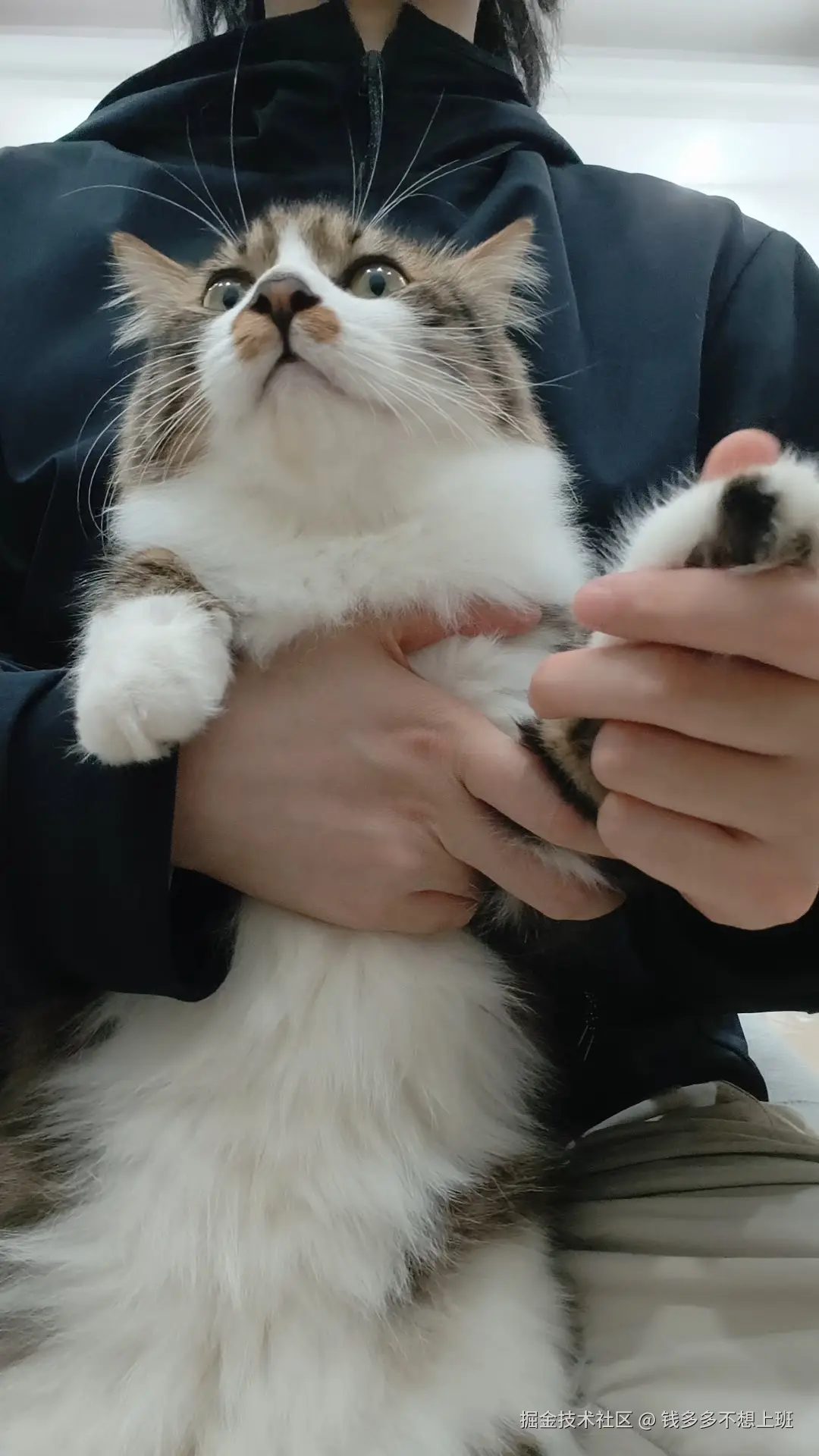 钱多多不想上班于2025-11-17 02:49发布的图片