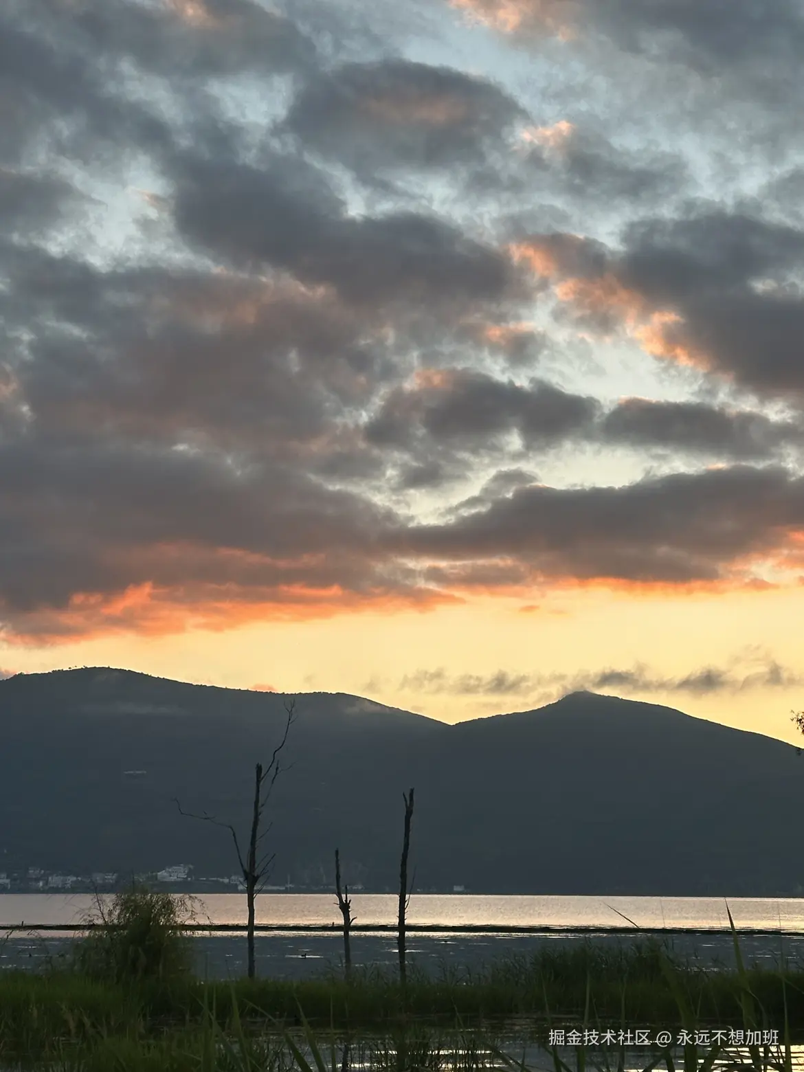 永远不想加班于2025-09-08 10:37发布的图片