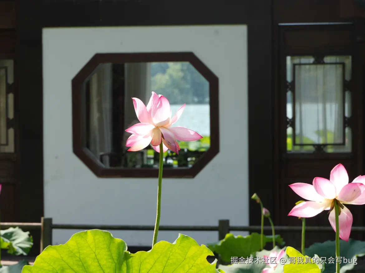 哥我真的只会写bug于2024-08-02 08:23发布的图片