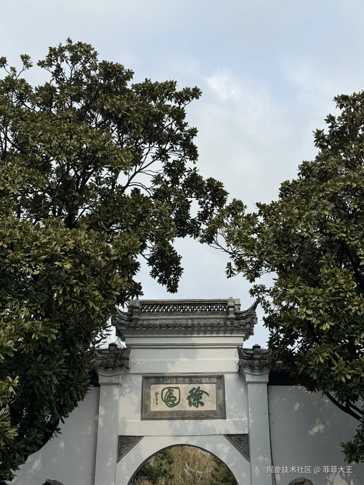 菲菲大王于2026-01-04 10:52发布的图片