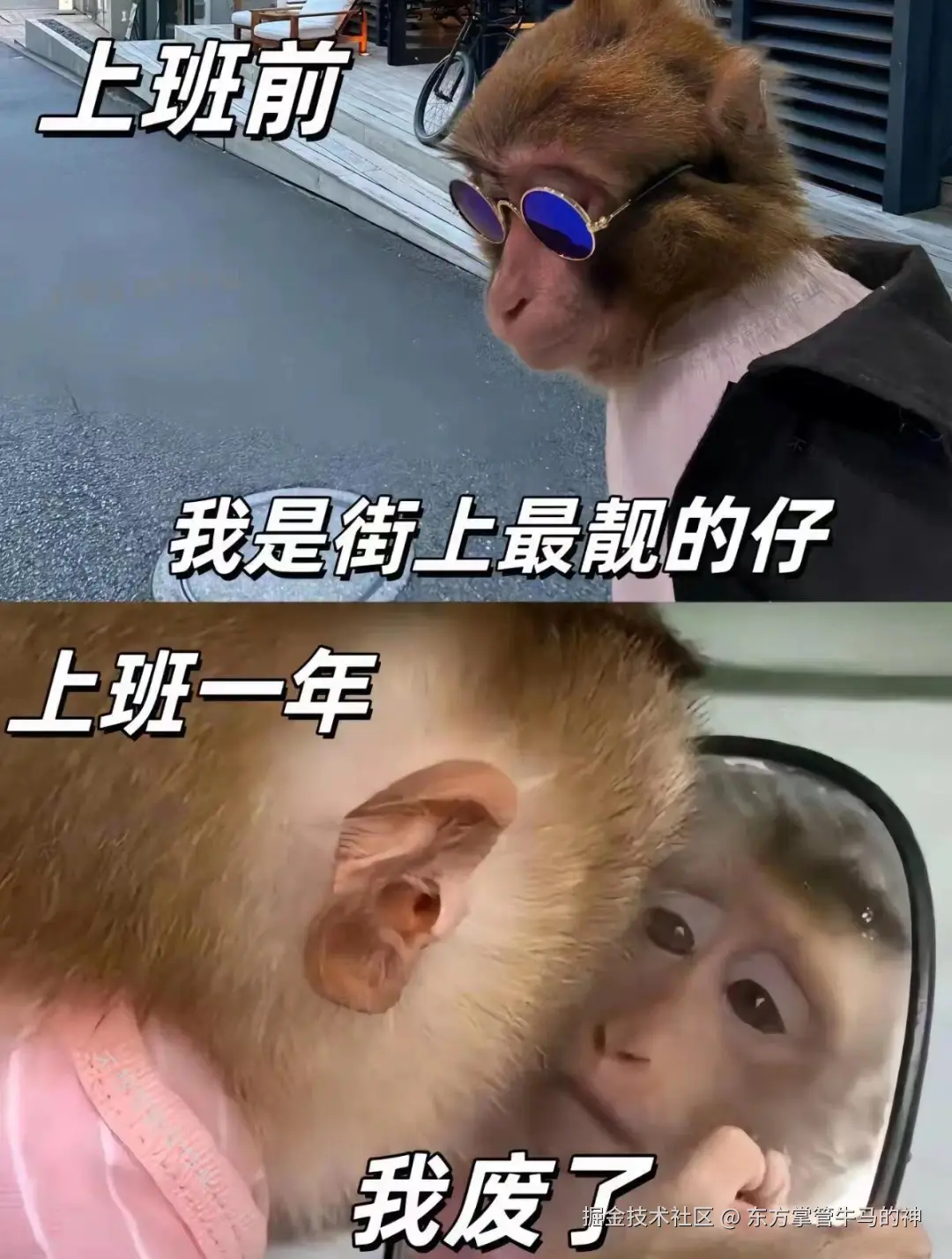 东方掌管牛马的神于2024-07-30 08:50发布的图片