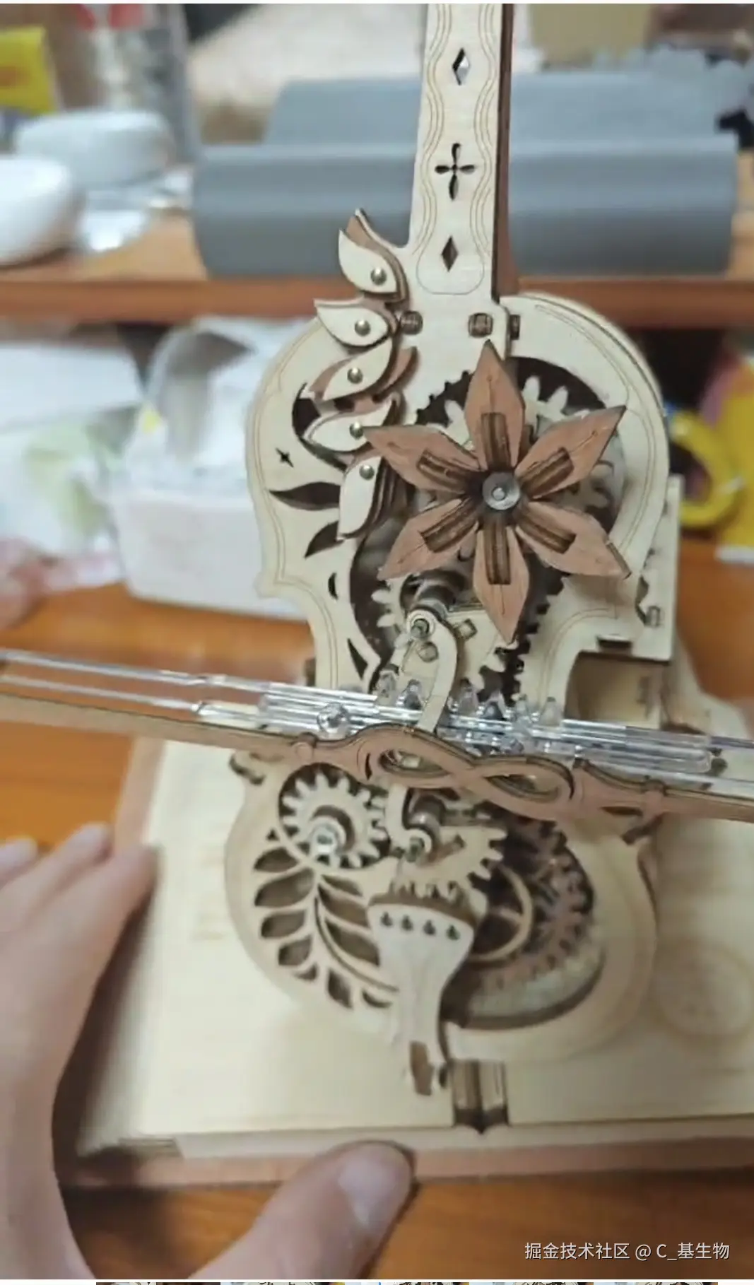 C_基生物于2024-11-22 14:47发布的图片