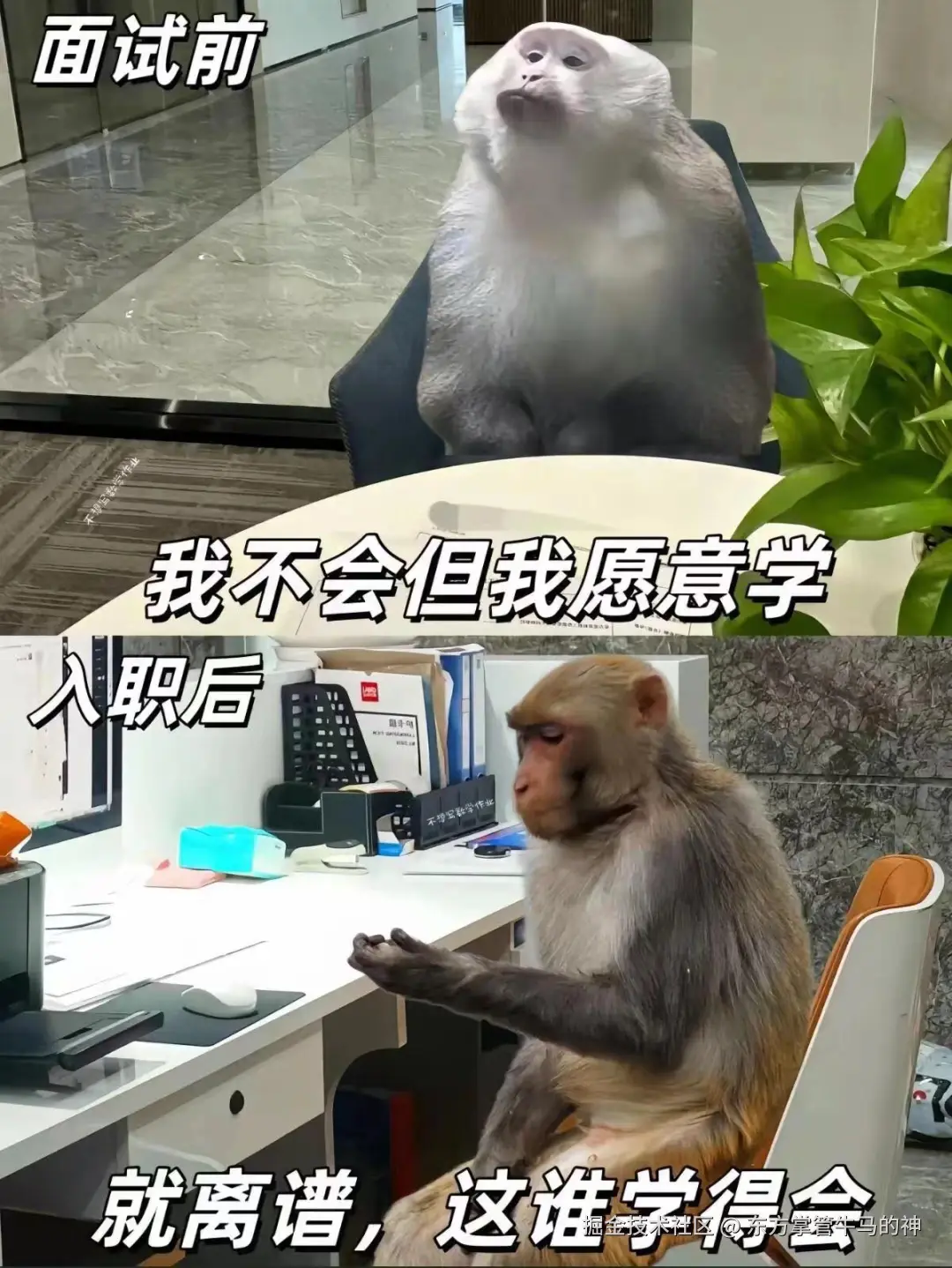 东方掌管牛马的神于2024-07-30 08:50发布的图片