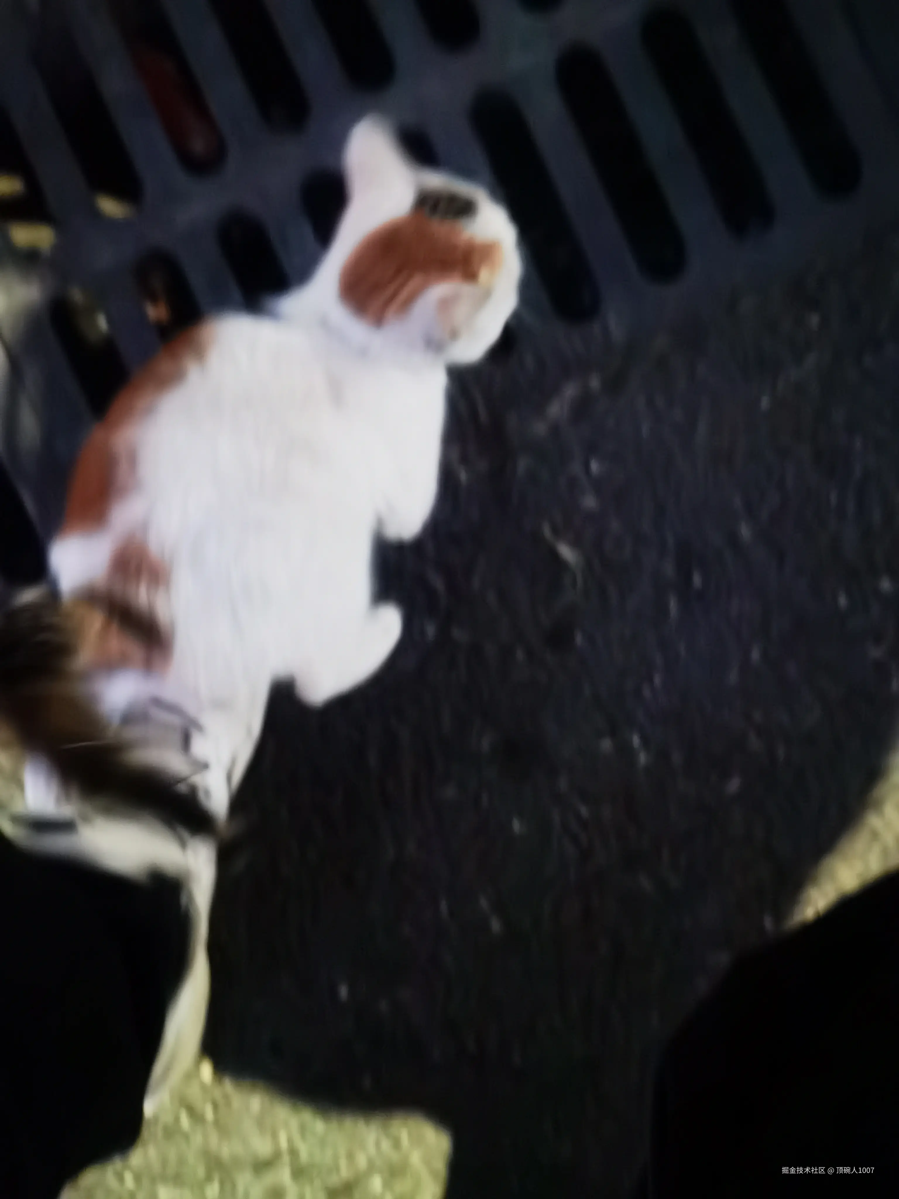 顶碗人1007于2026-02-20 11:07发布的图片