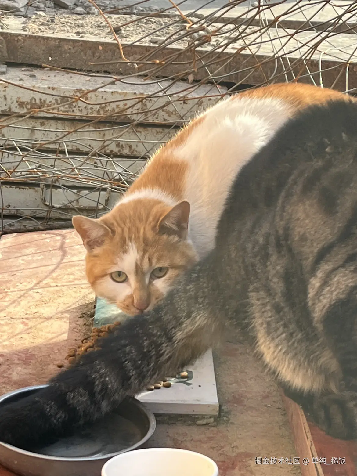 单纯_稀饭于2025-11-26 09:05发布的图片