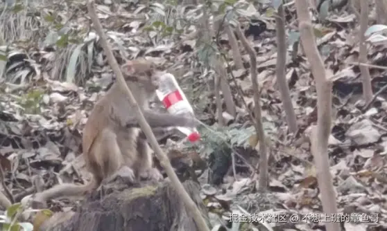 不想上班的章鱼哥于2025-01-07 07:02发布的图片