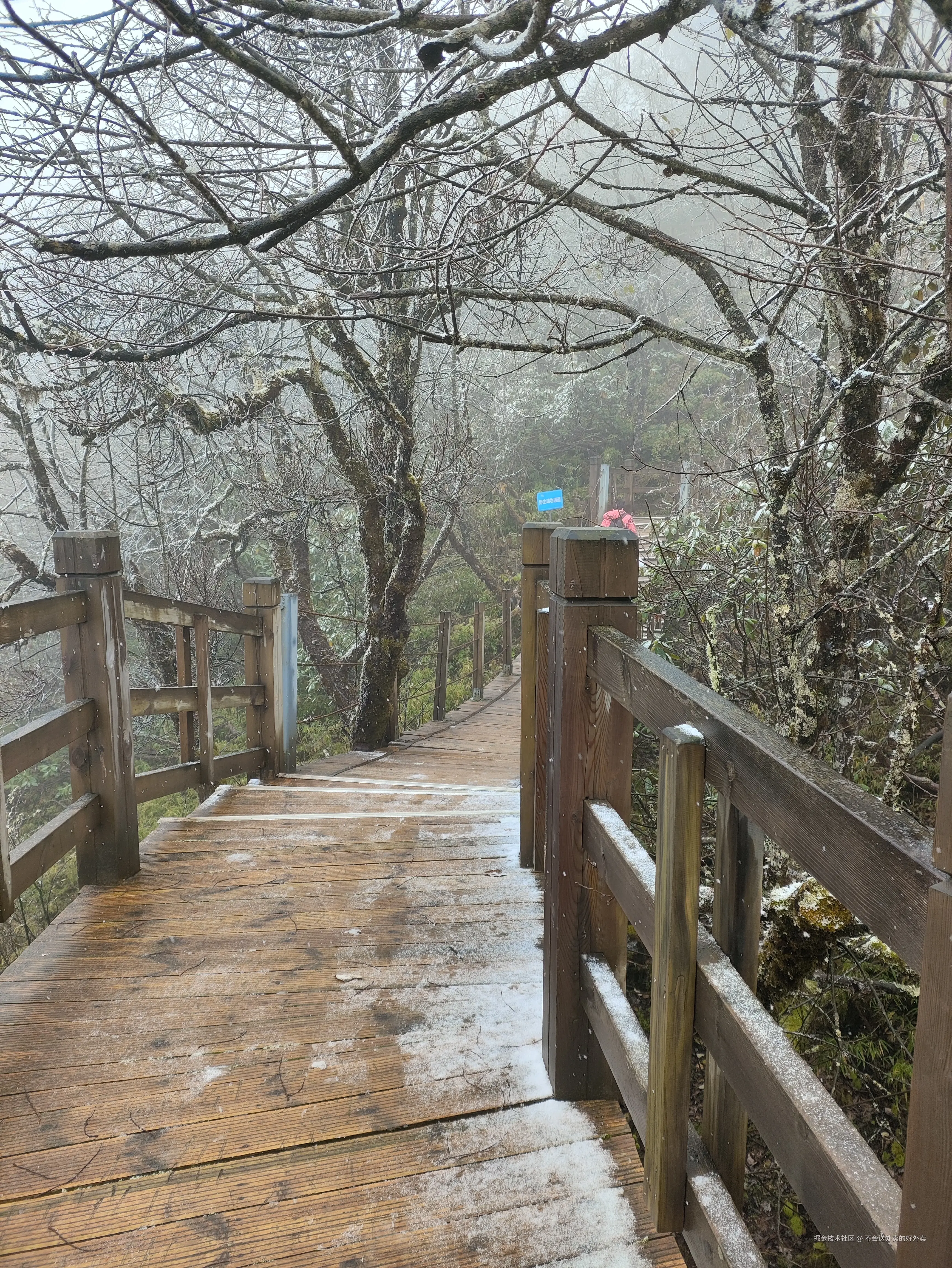 不会送外卖的好外卖于2024-10-26 20:14发布的图片