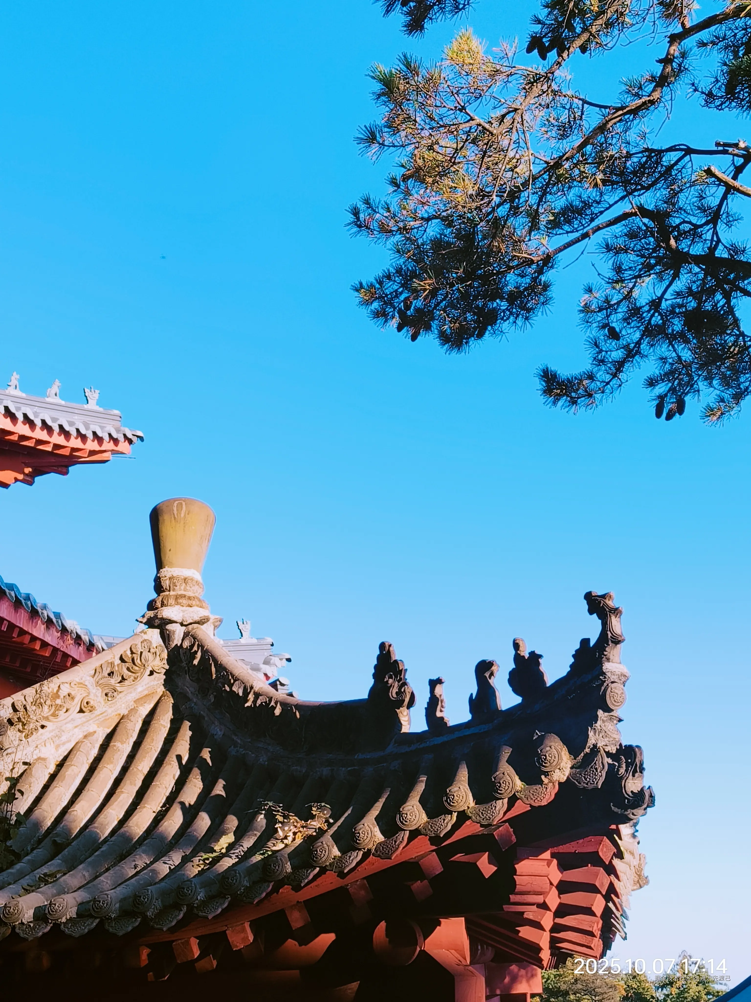 渡人先渡己于2025-10-31 10:05发布的图片