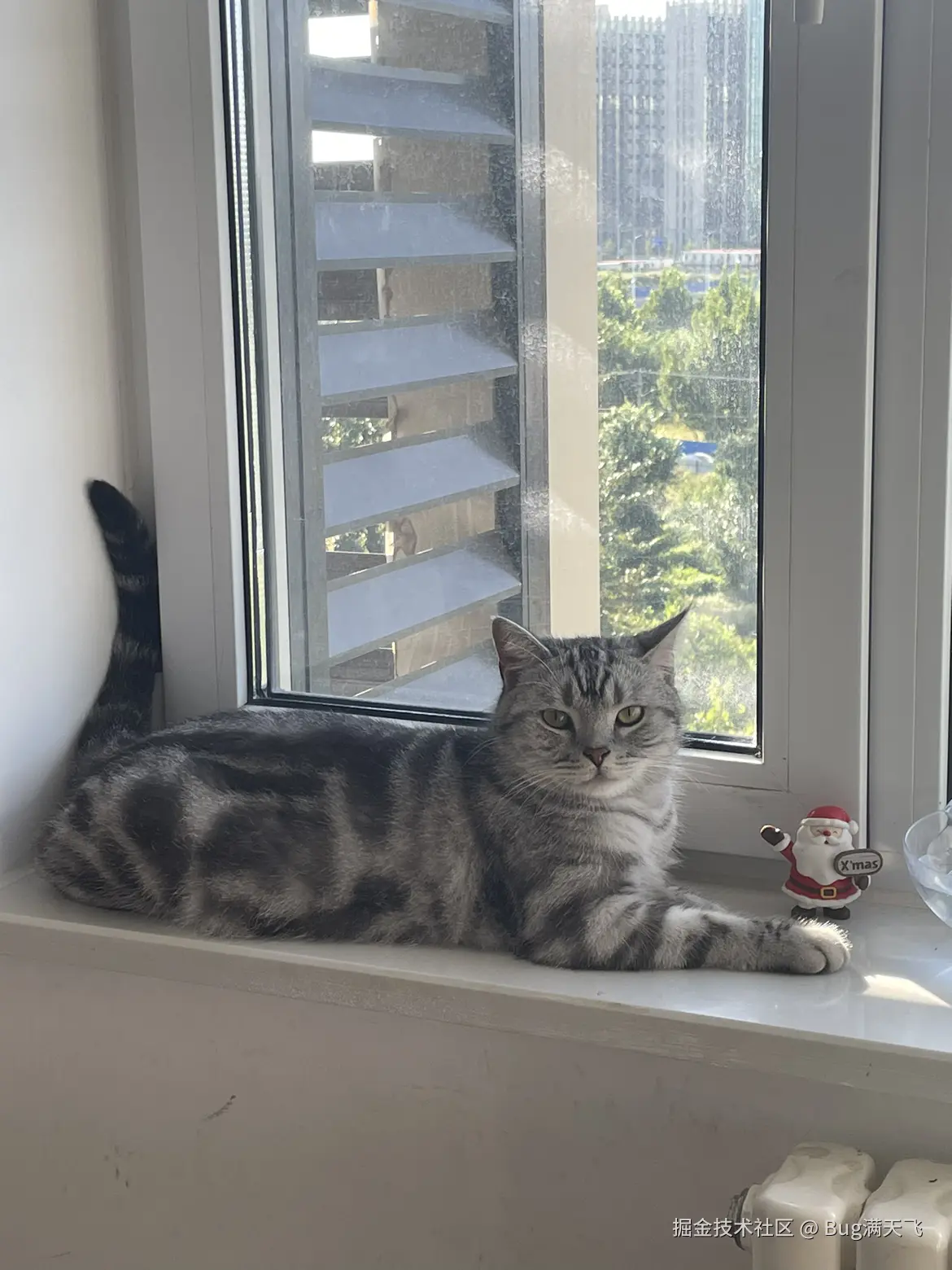 Bug满天飞于2024-09-12 14:24发布的图片