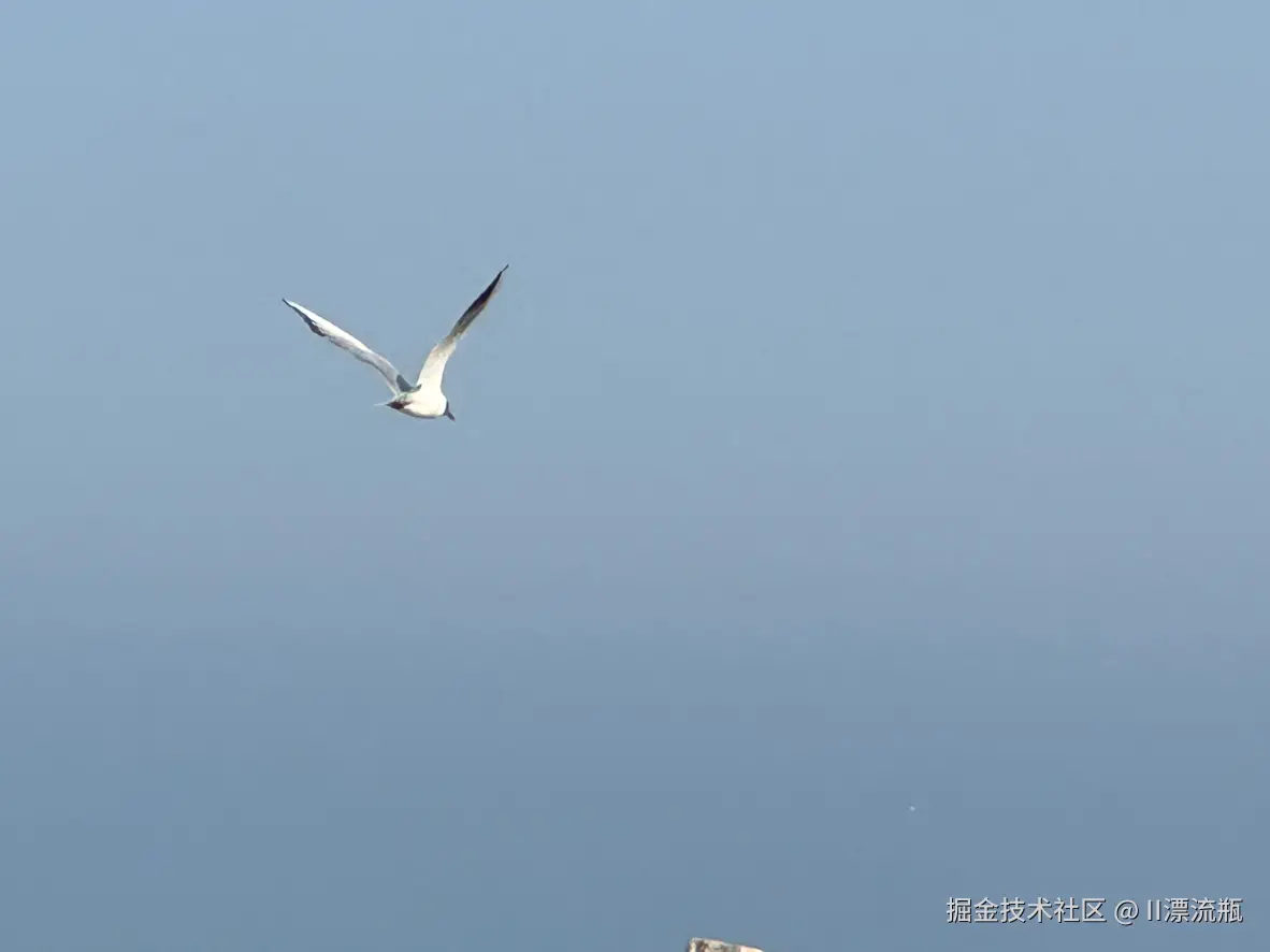 II漂流瓶于2025-04-20 16:26发布的图片