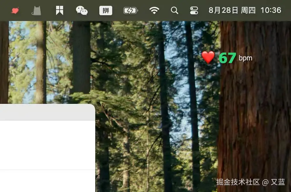 又蓝于2025-08-29 17:16发布的图片