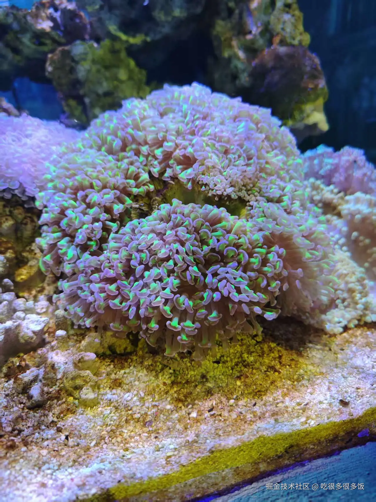 吃很多很多饭于2026-02-26 15:14发布的图片