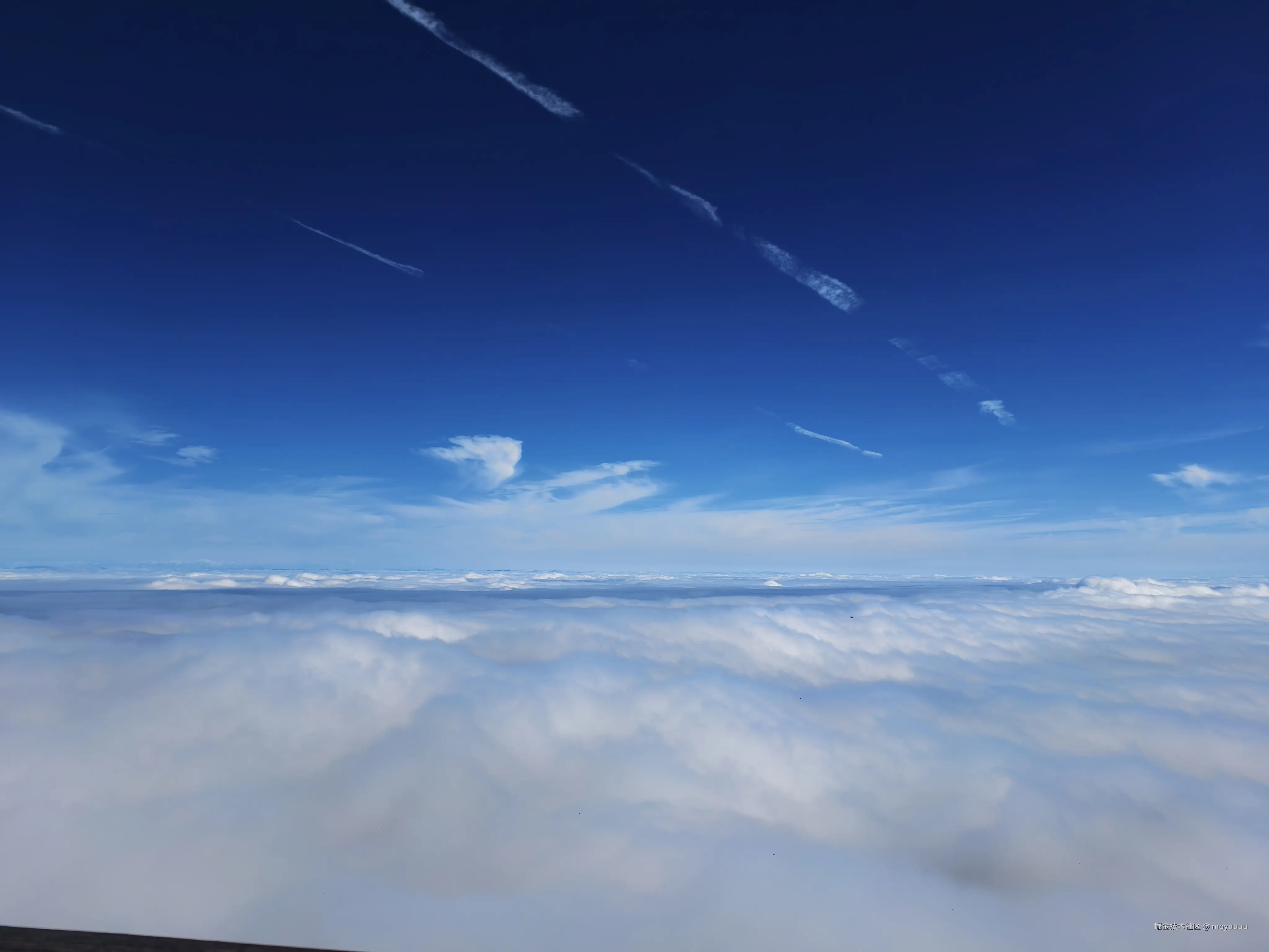 moyuuuu于2025-10-09 02:09发布的图片