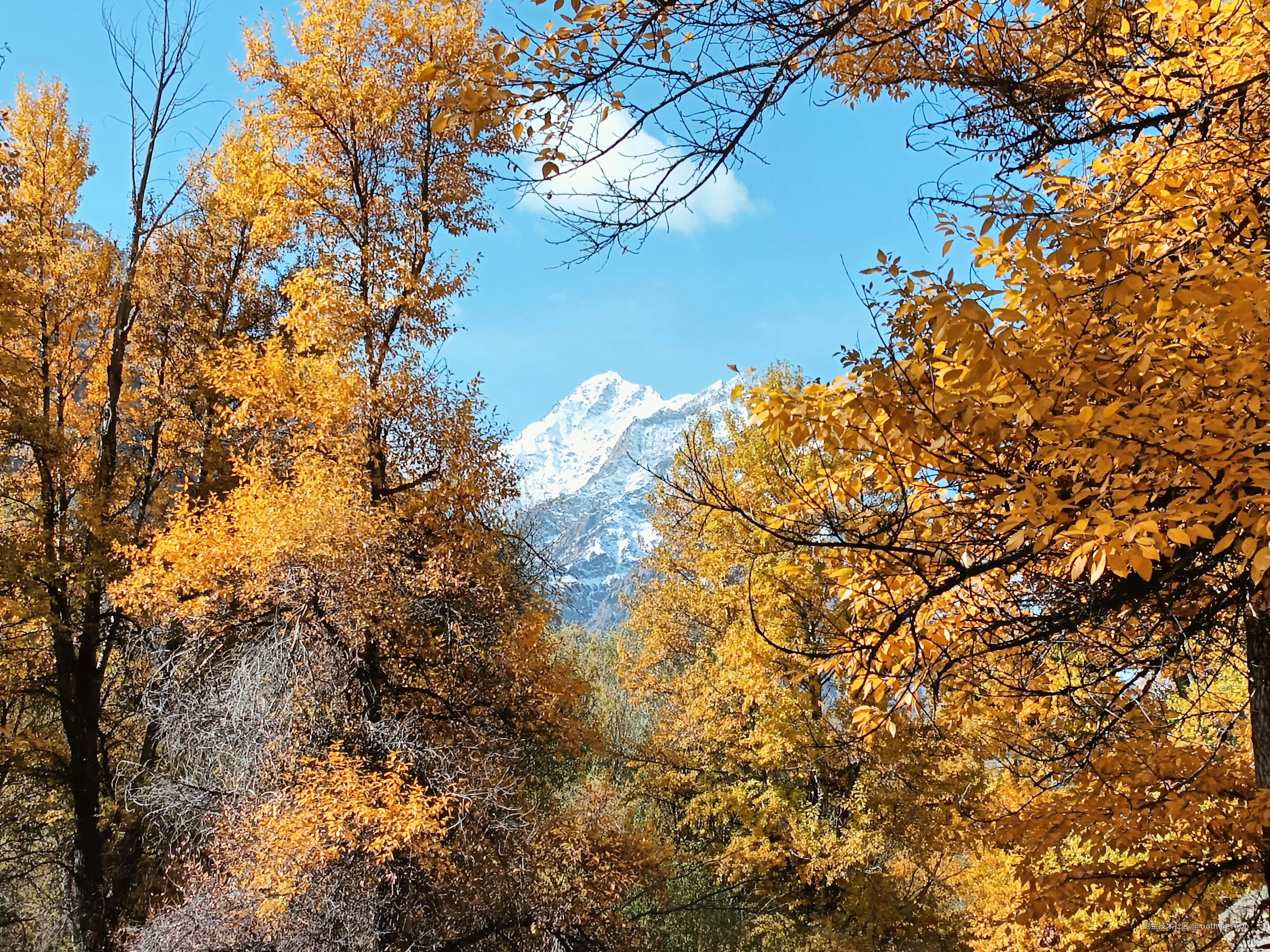 nothingToDo于2025-04-10 14:59发布的图片