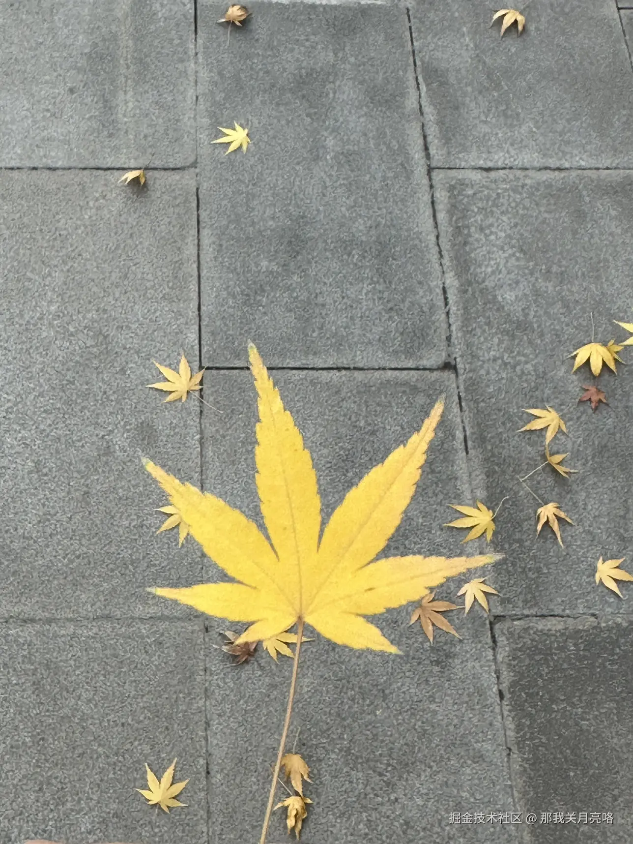 那我关月亮咯于2024-12-24 16:13发布的图片