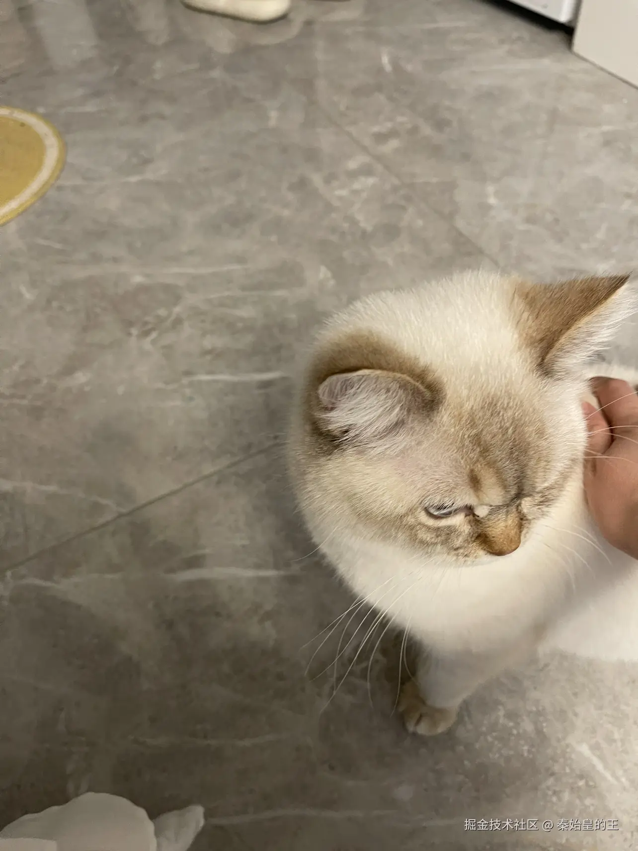 秦始皇的王于2025-04-10 11:27发布的图片