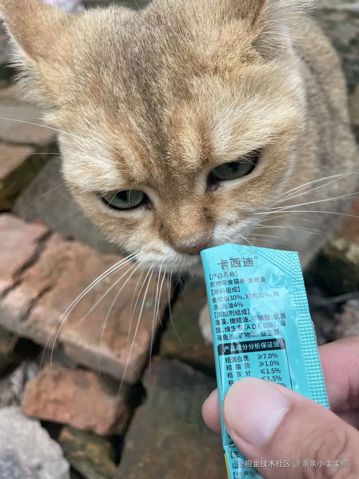 亲亲小宝宝鸭于2025-10-11 15:07发布的图片