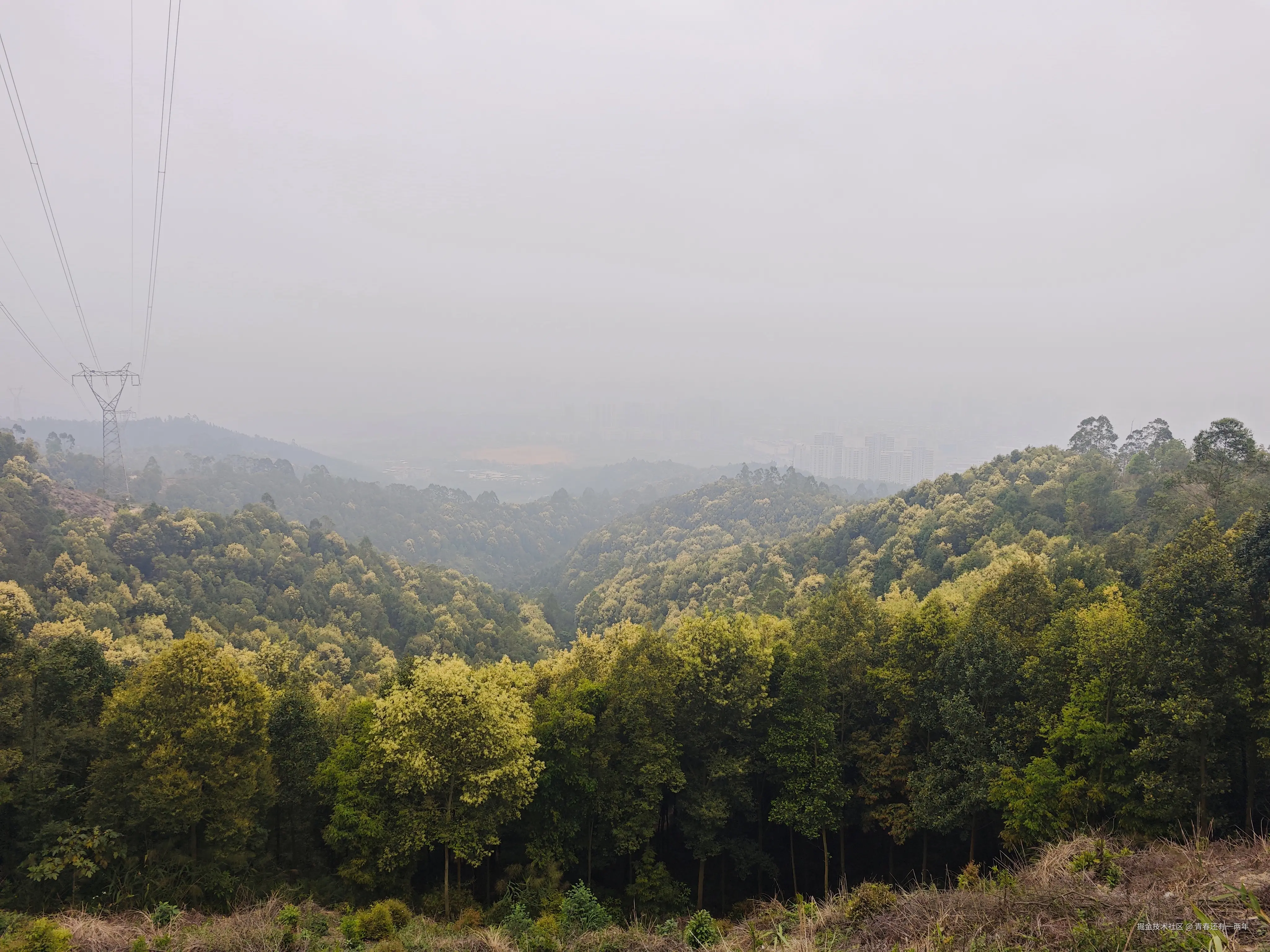 青春还有一两年于2026-03-22 22:56发布的图片