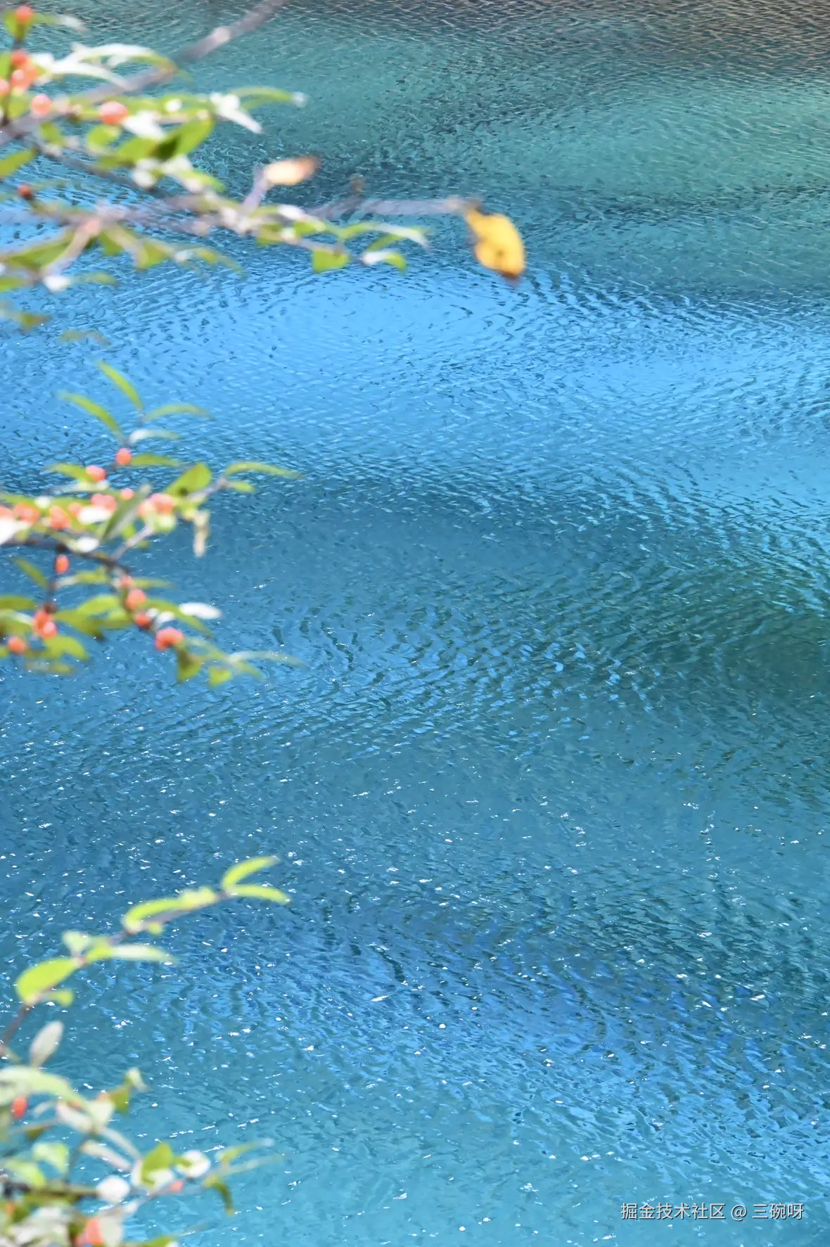 三碗呀于2025-11-19 08:23发布的图片