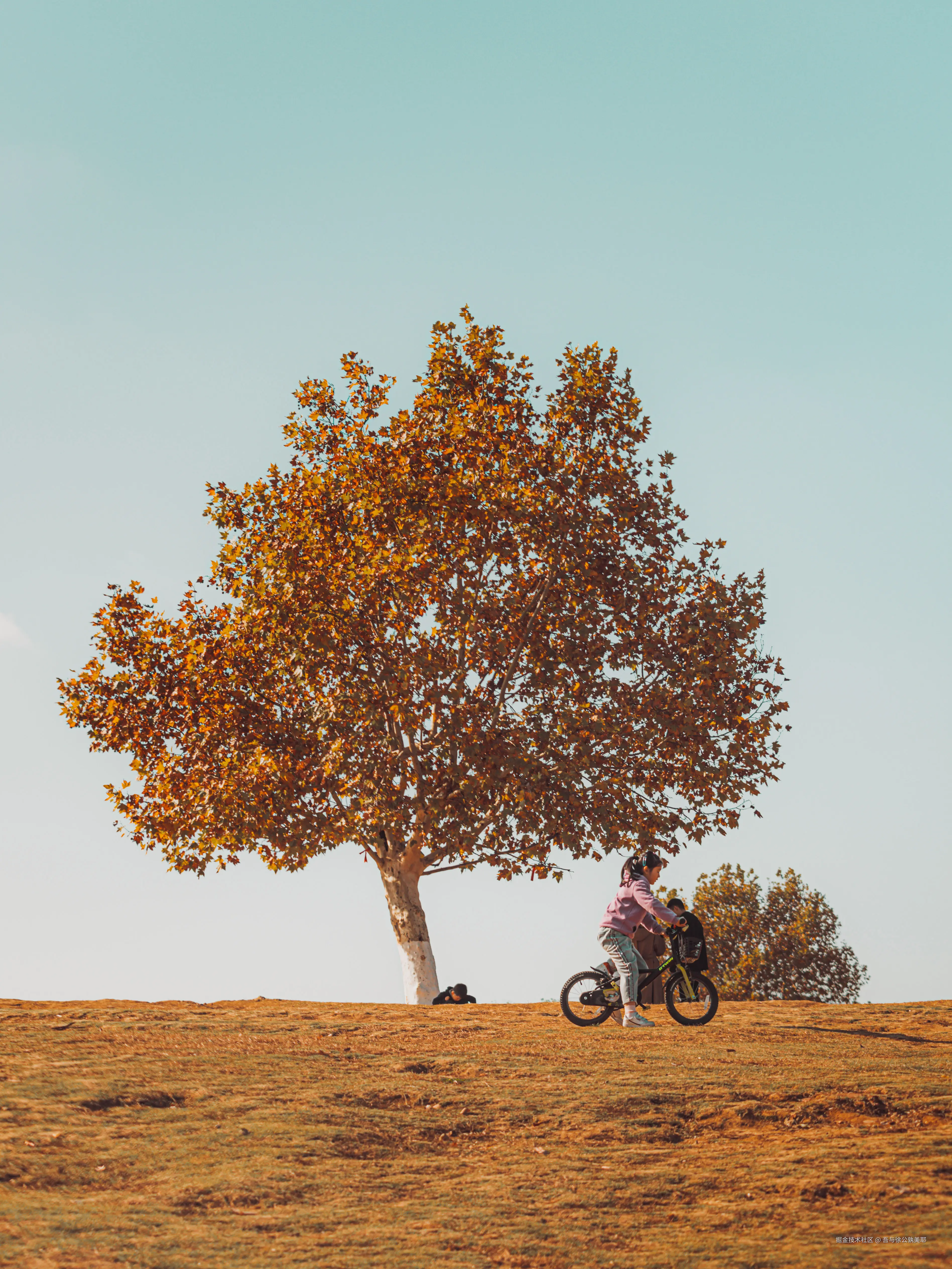 吾与徐公孰美耶于2024-11-29 09:48发布的图片