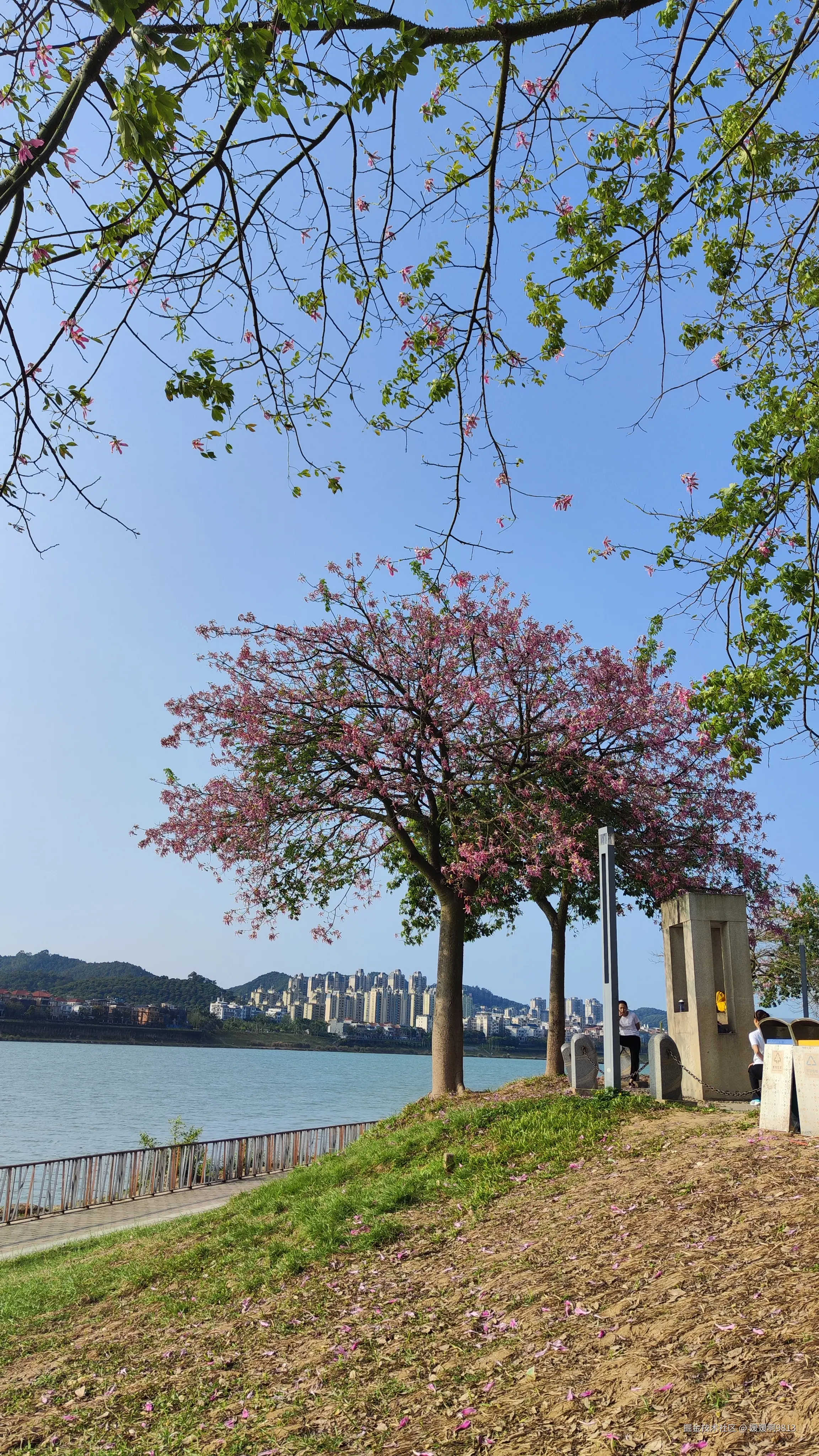 媛媛啊9813于2024-10-21 07:22发布的图片