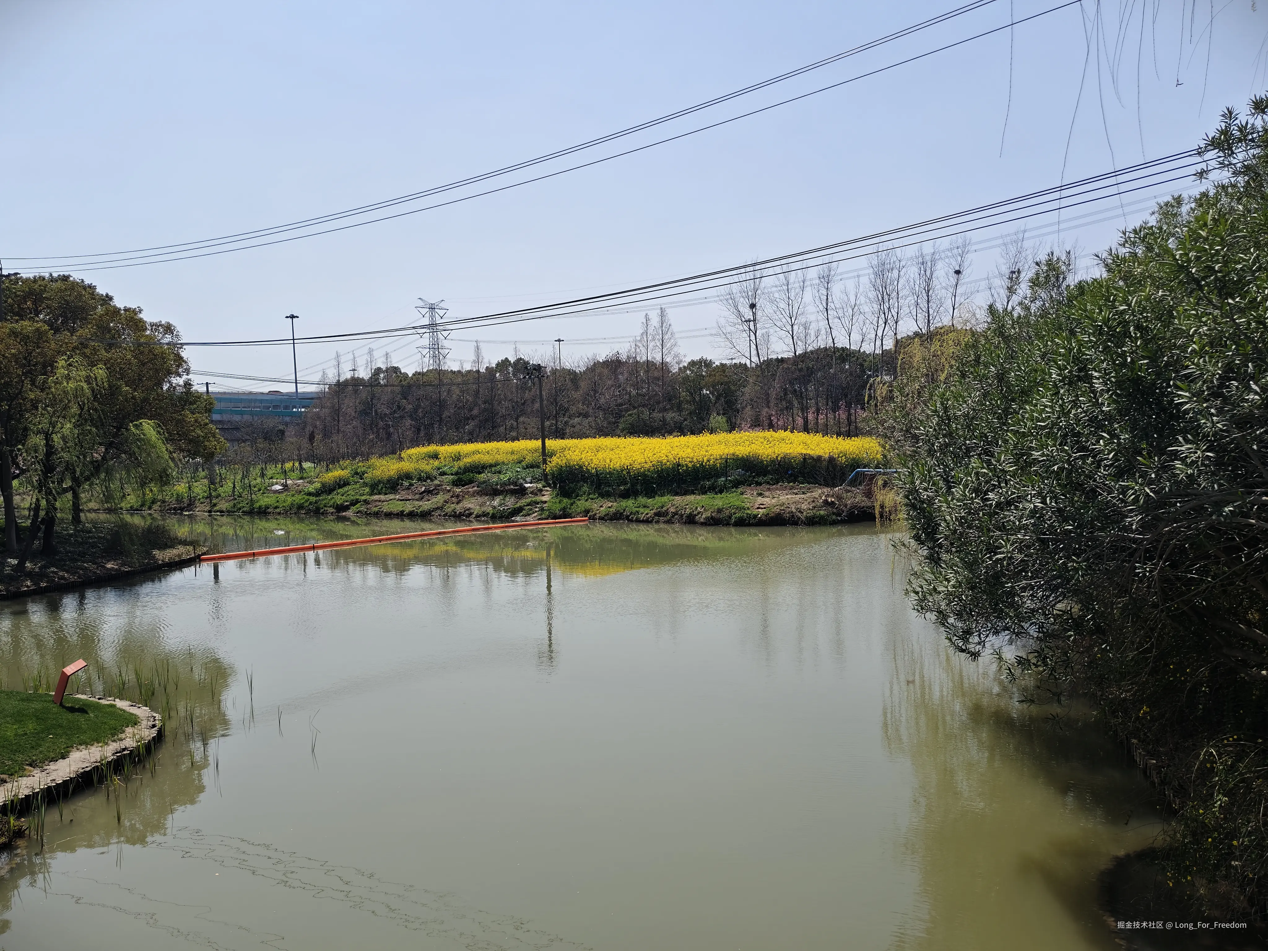 Long_For_Freedom于2026-03-28 12:27发布的图片