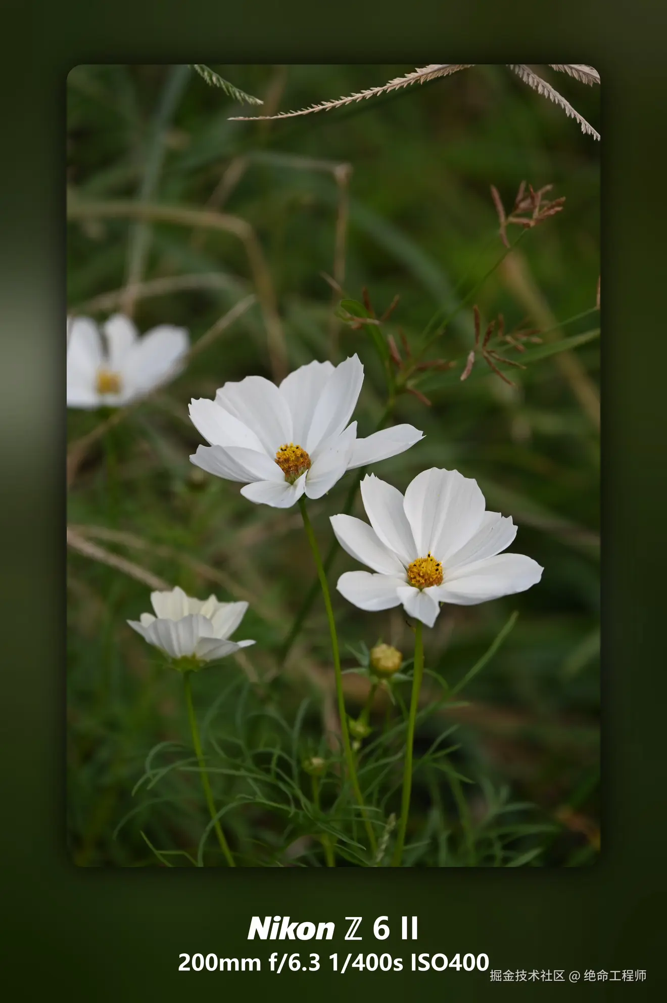 绝命工程师于2025-11-11 09:28发布的图片