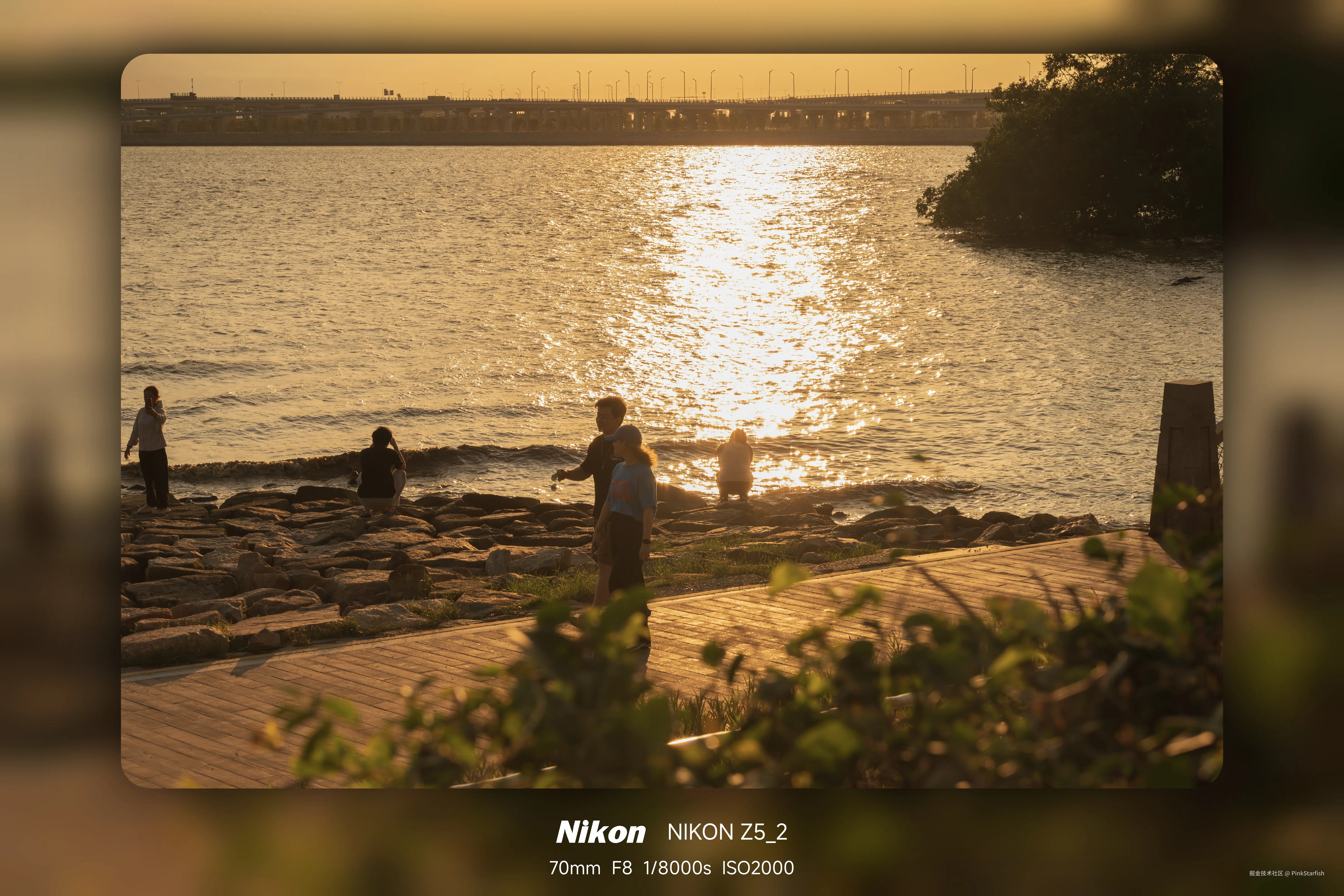 PinkStarfish于2025-06-10 10:49发布的图片