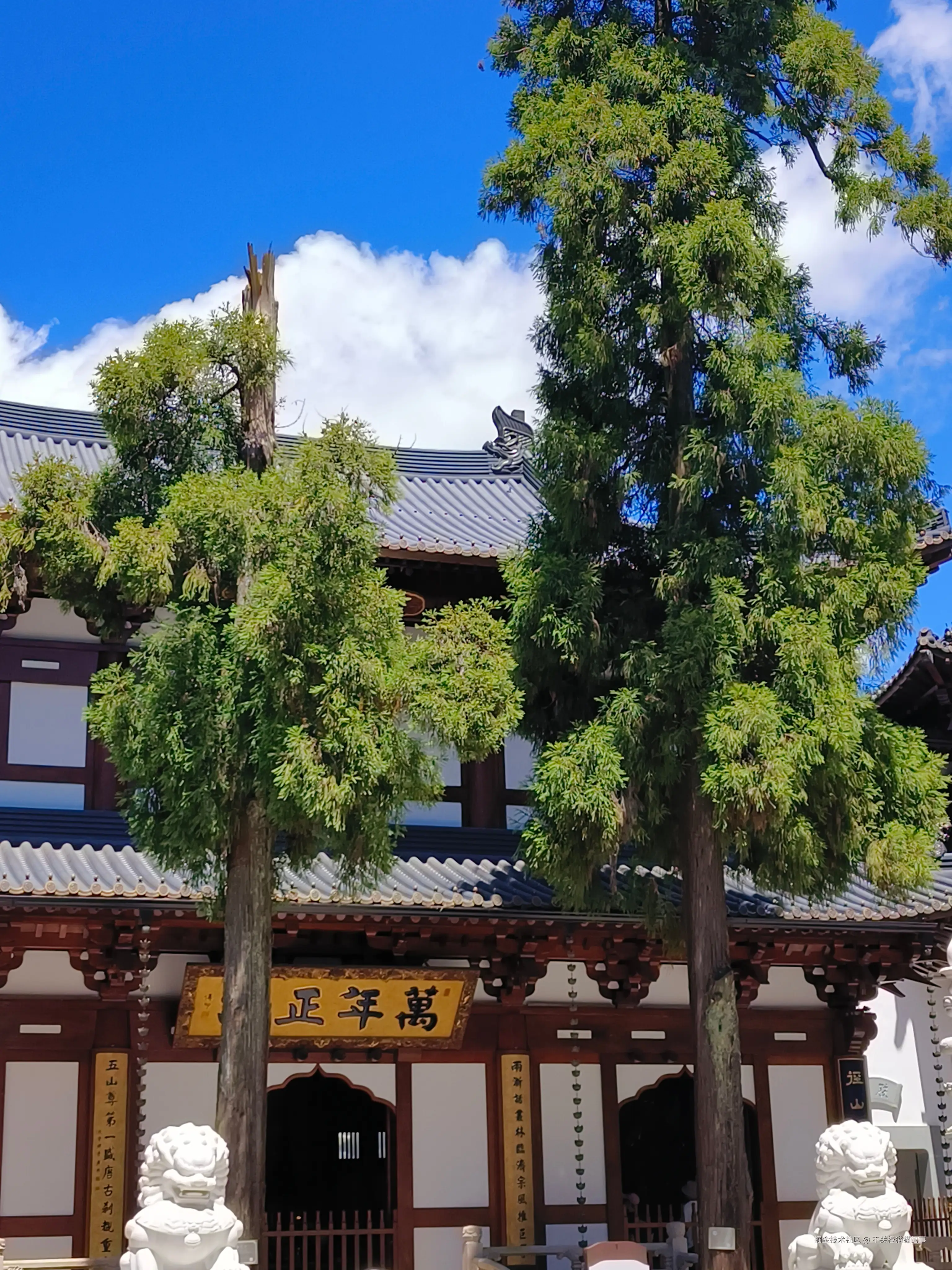 不关橙猫猫的事于2025-08-25 15:39发布的图片