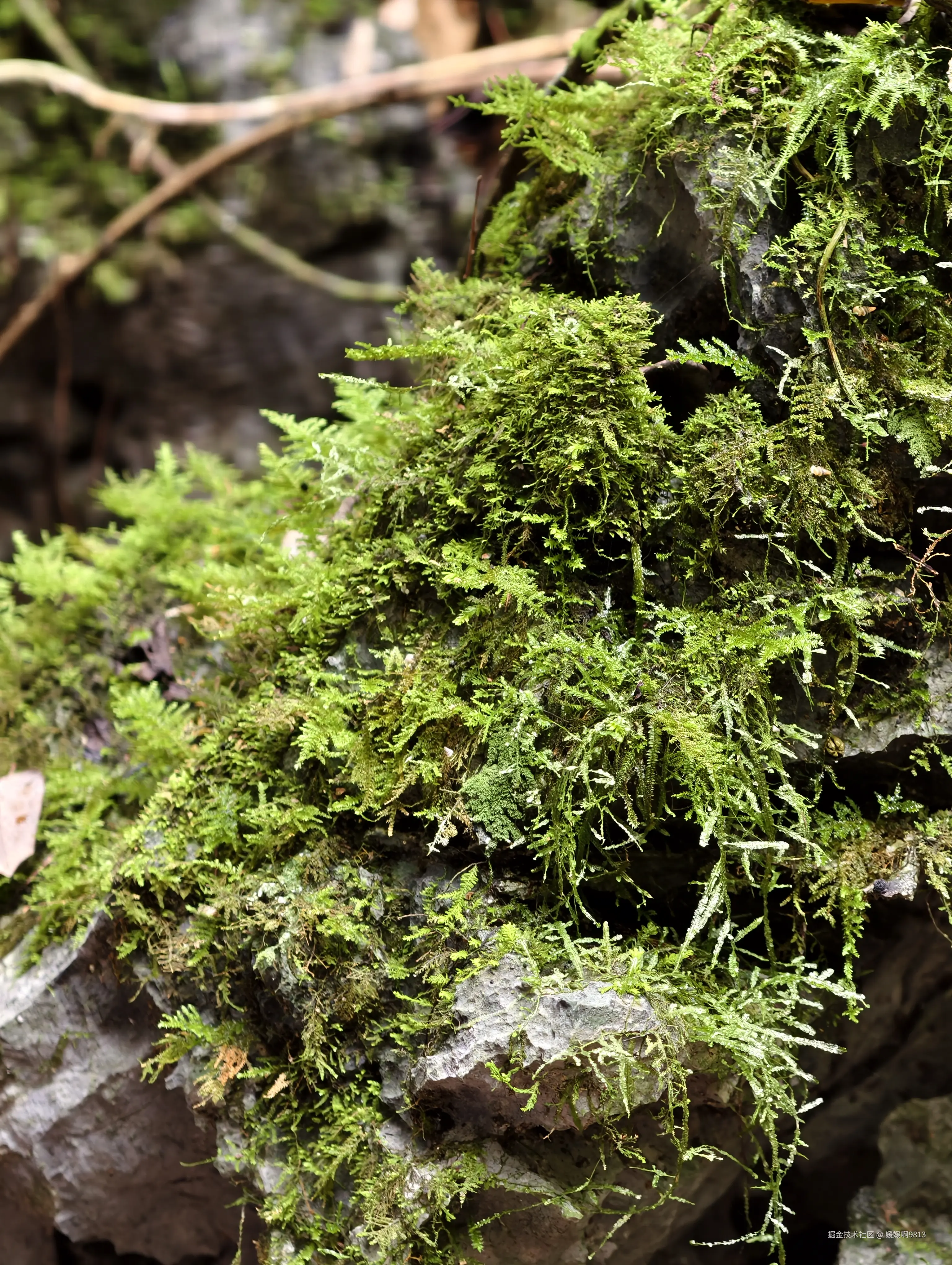 媛媛啊9813于2026-03-22 21:52发布的图片
