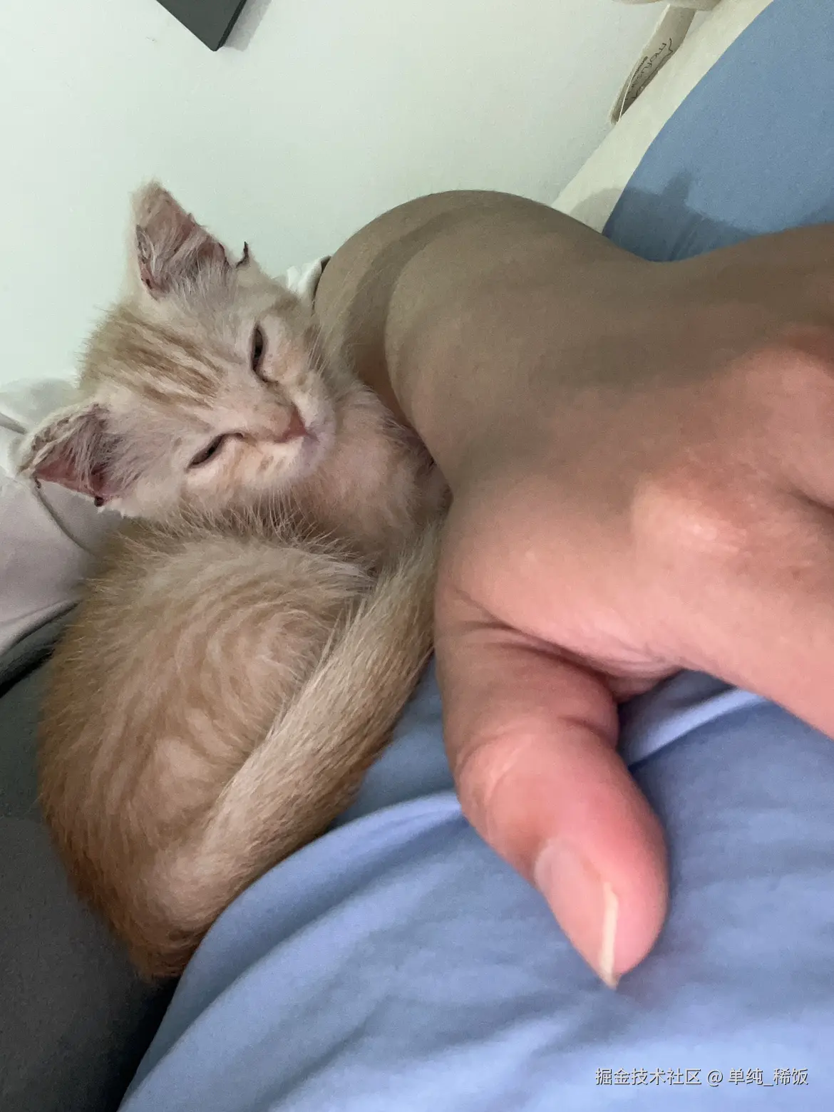 单纯_稀饭于2025-03-13 11:26发布的图片