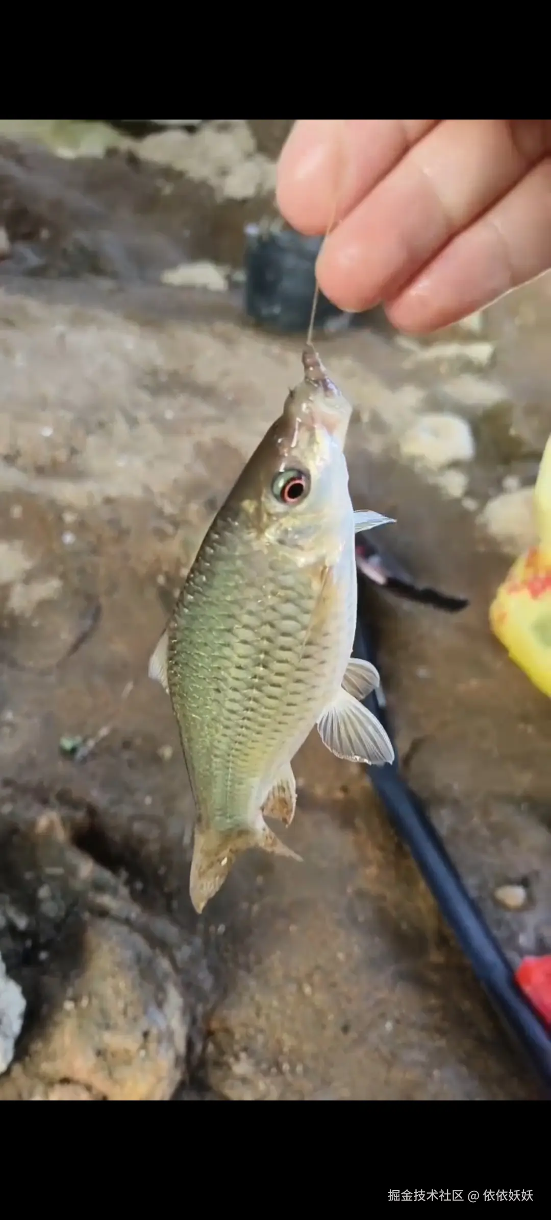 依依妖妖于2024-10-14 09:09发布的图片