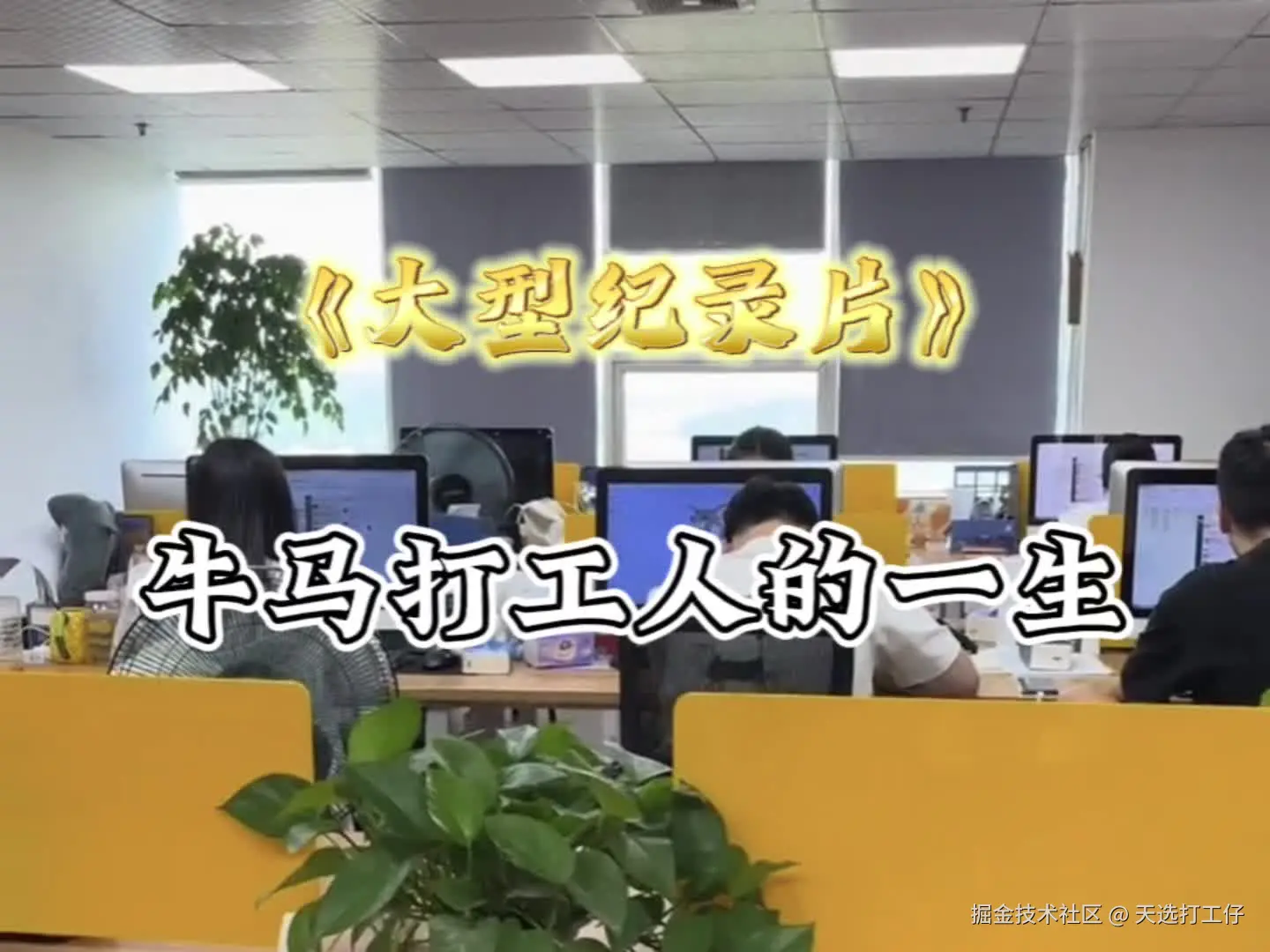 天选打工仔于2024-07-31 09:09发布的图片