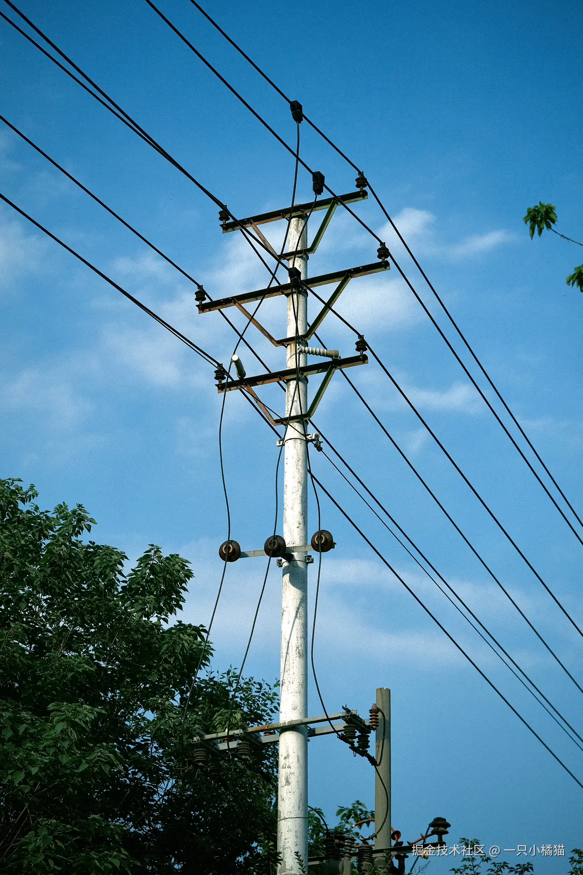 一只小橘猫于2025-06-01 10:42发布的图片