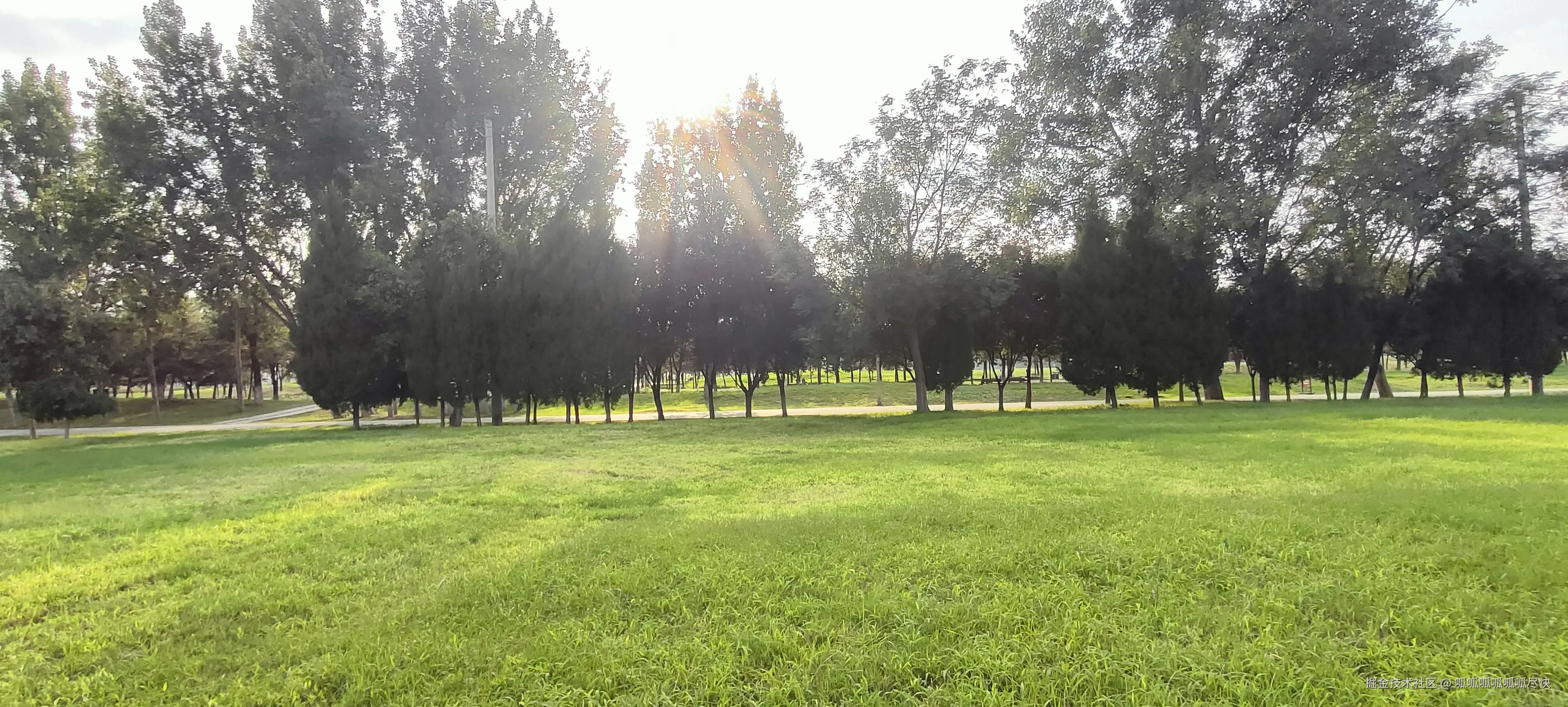 呱呱呱呱呱呱尽快于2025-09-13 19:12发布的图片