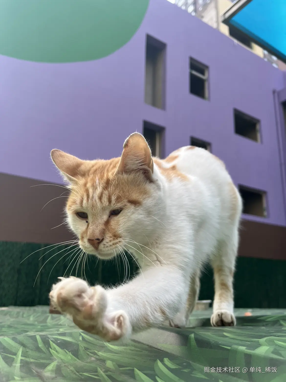 单纯_稀饭于2025-09-24 09:12发布的图片