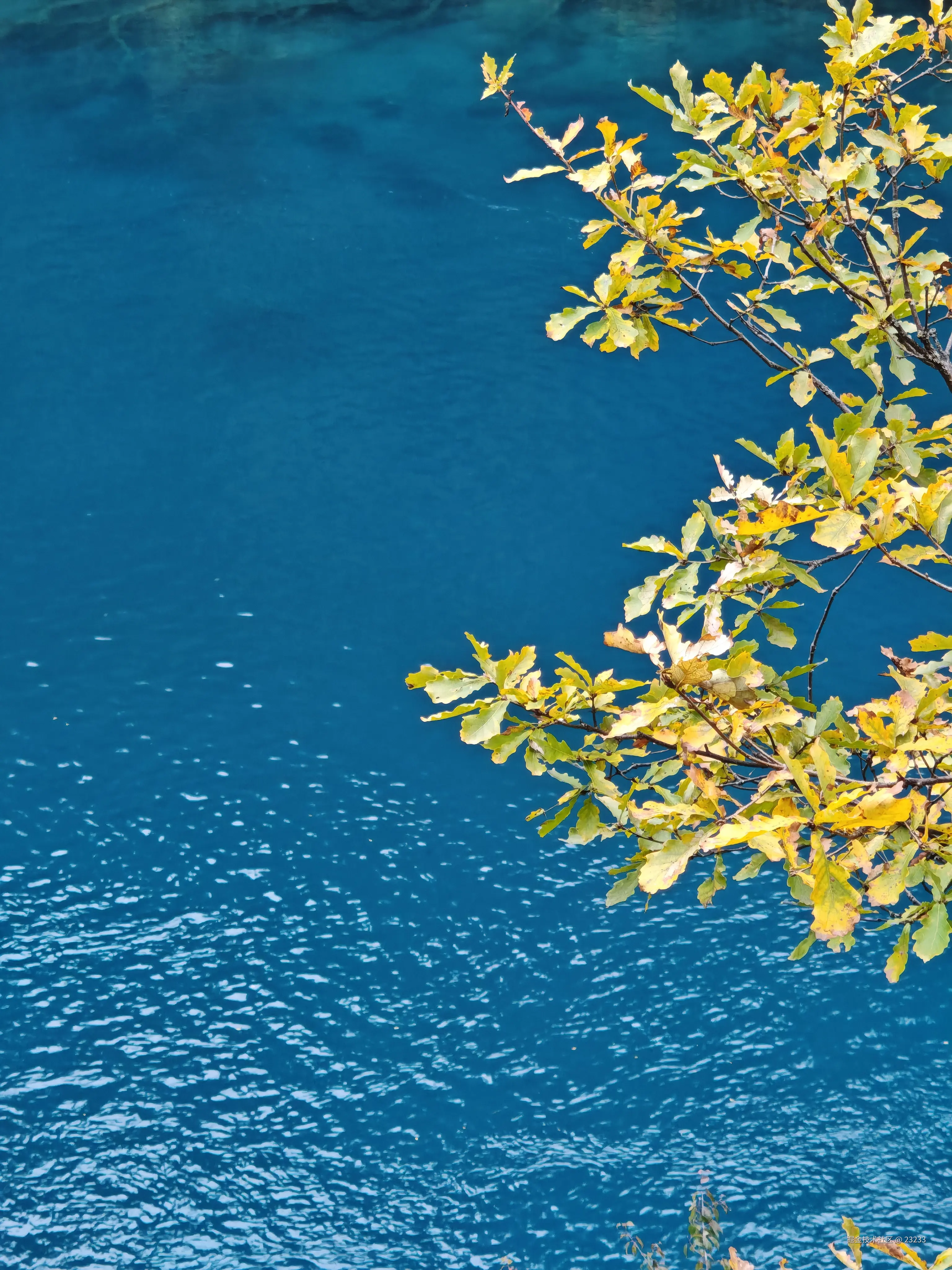 23233于2025-11-06 15:52发布的图片