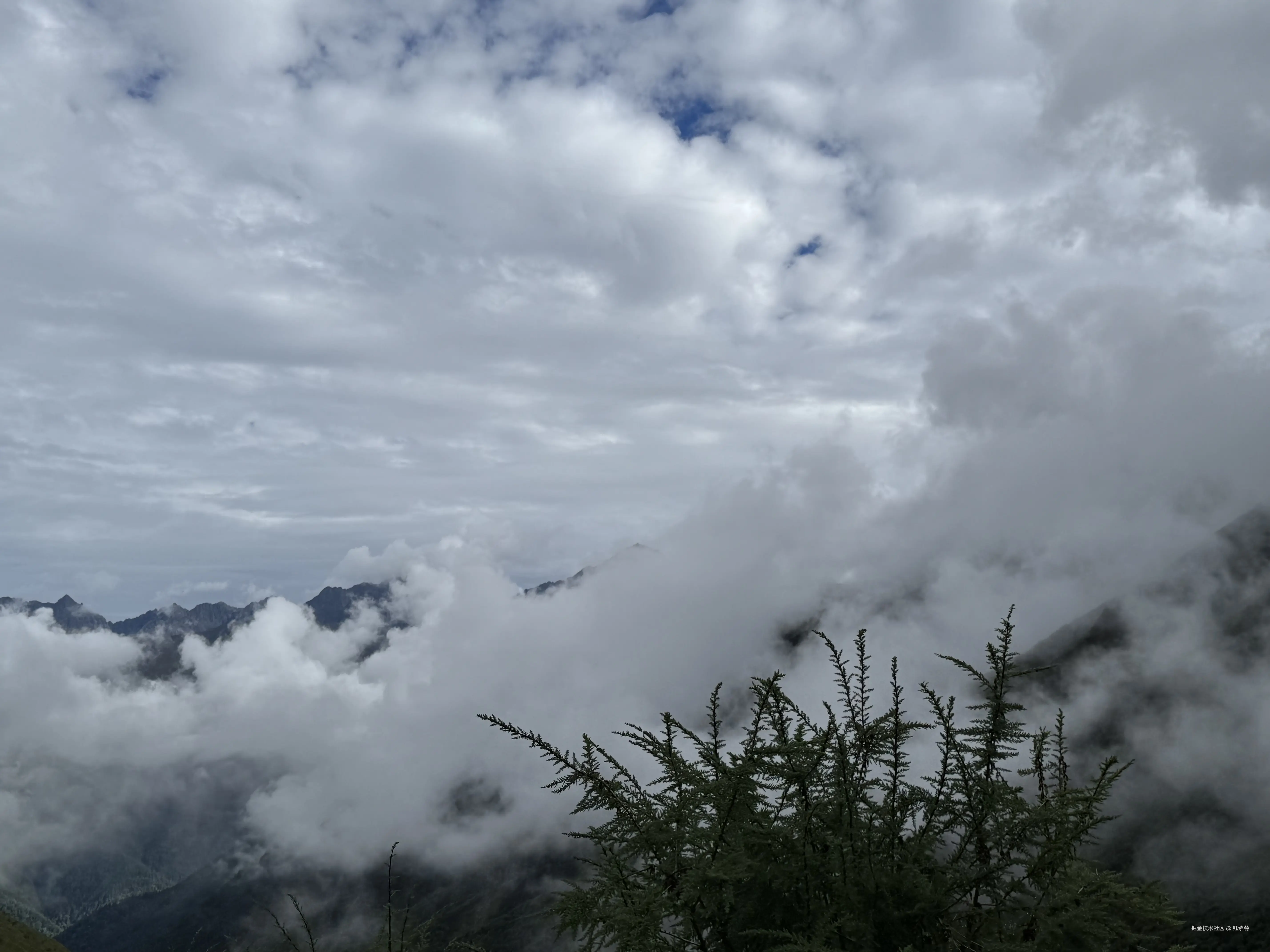 钰紫薇于2025-09-16 09:31发布的图片