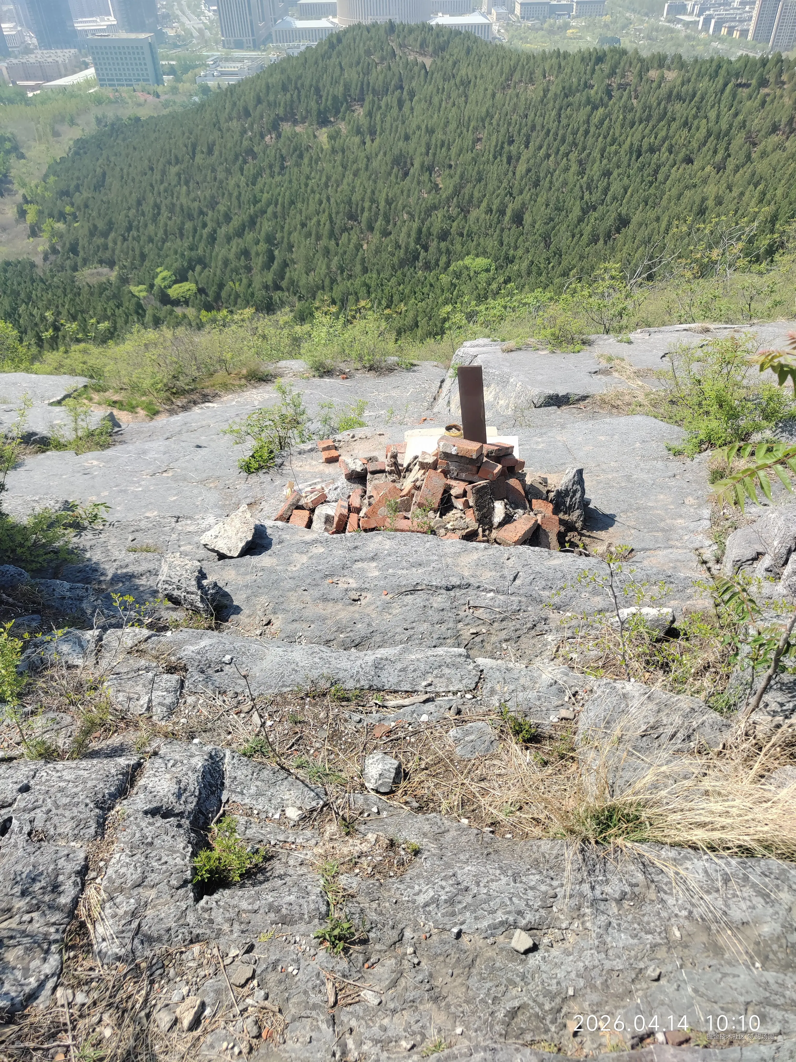 甜汤圆于2026-04-14 10:44发布的图片