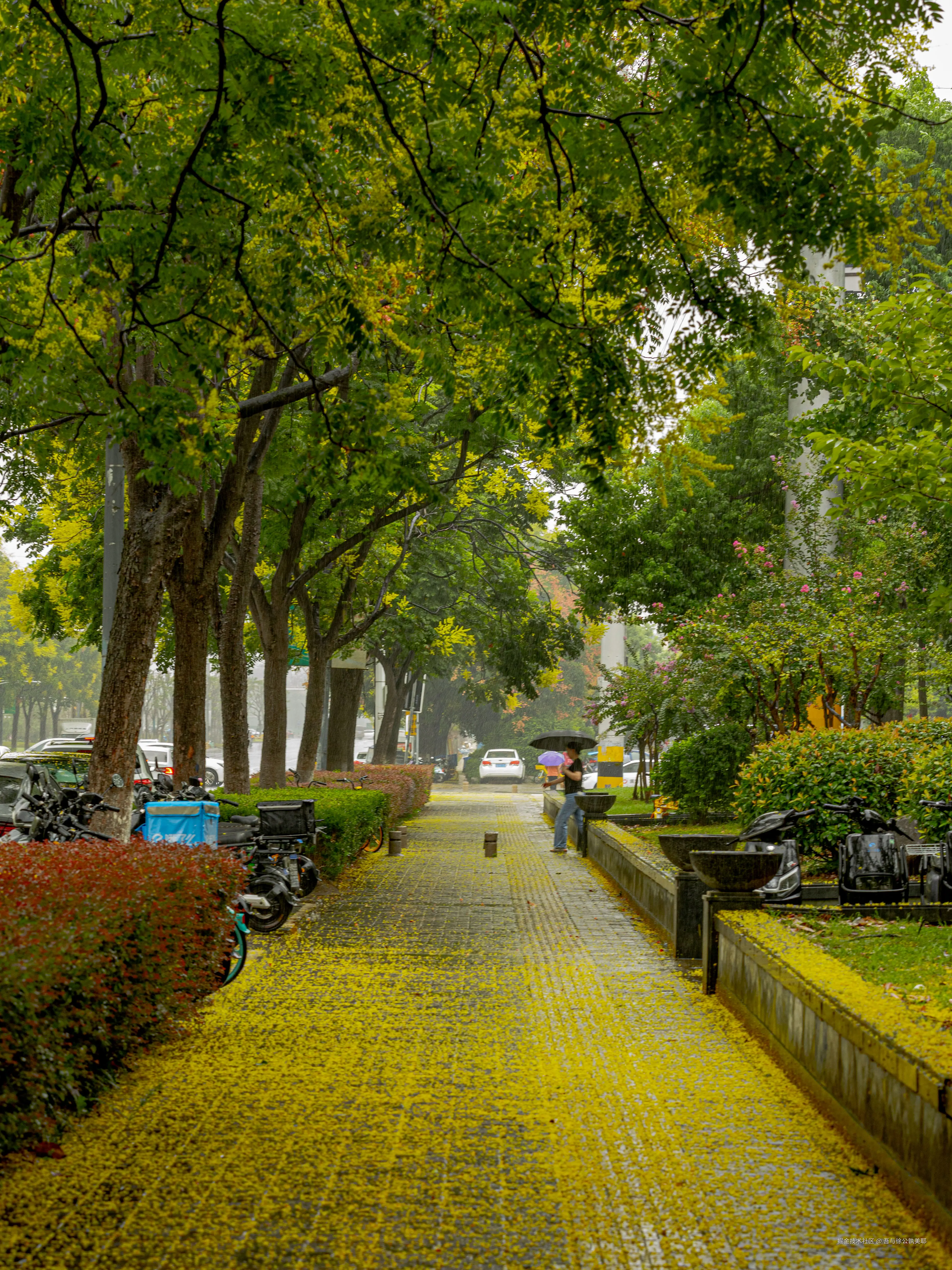 吾与徐公孰美耶于2024-09-20 10:12发布的图片