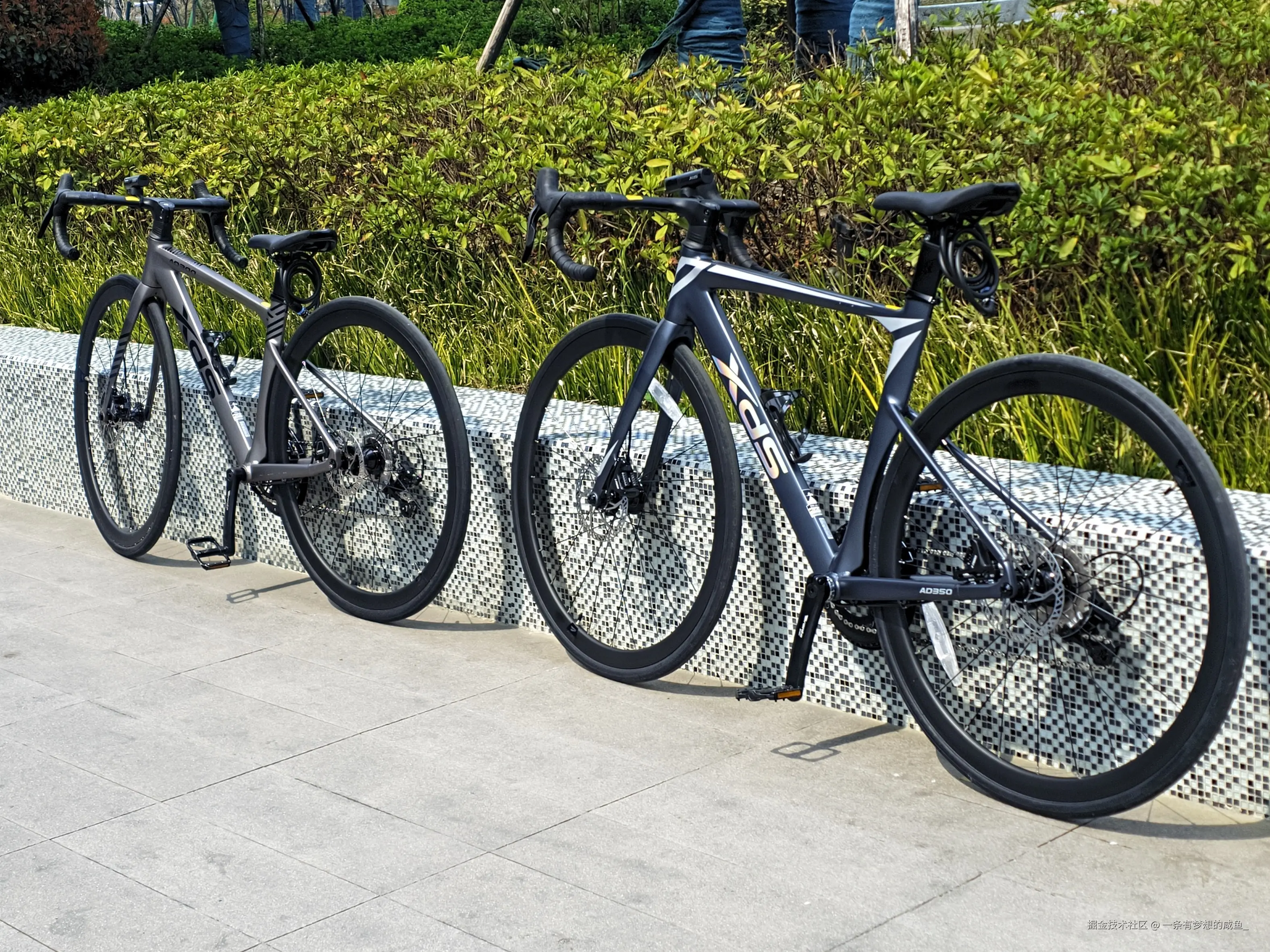 一条有梦想的咸鱼_于2026-03-16 14:22发布的图片