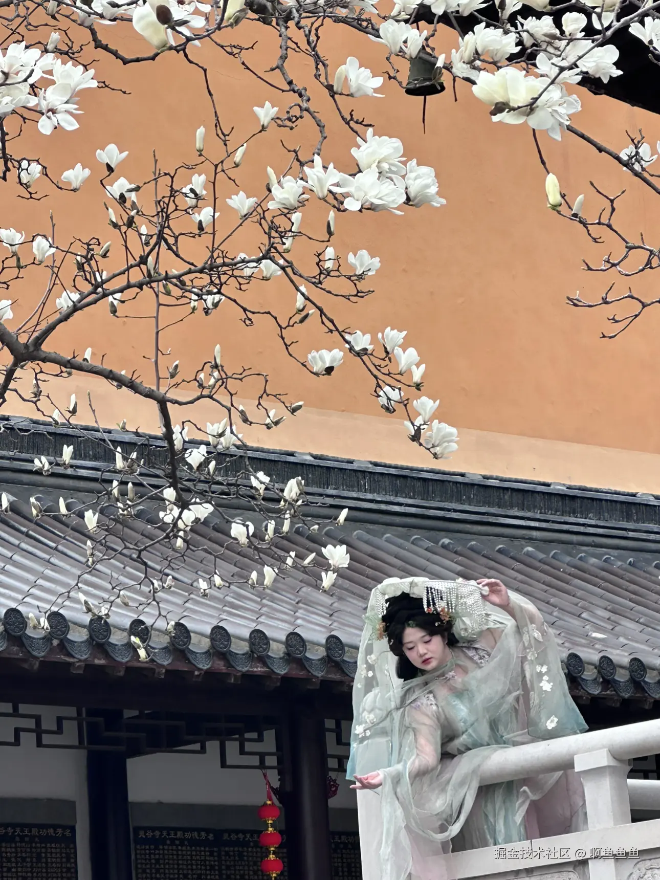 啊鱼鱼鱼于2025-03-10 11:42发布的图片