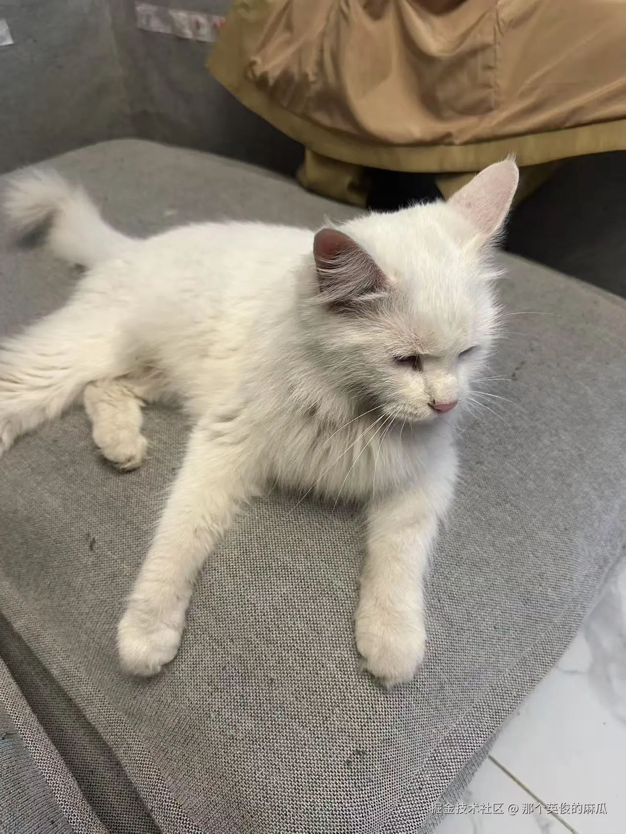 那个英俊的麻瓜于2025-04-11 09:39发布的图片