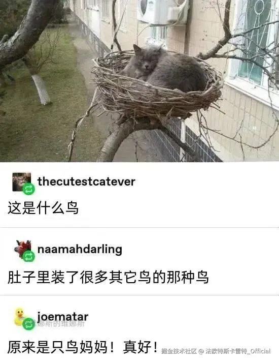 法欧特斯卡雷特_Official于2025-06-16 18:27发布的图片