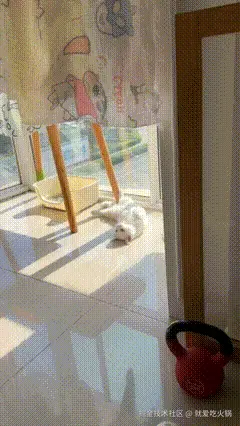 就爱吃火锅于2025-10-18 12:00发布的图片