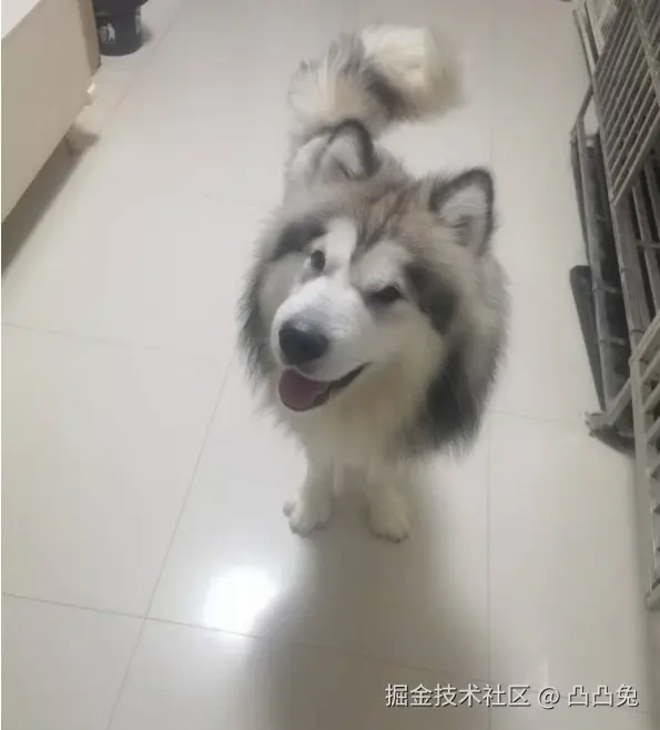 凸凸兔于2025-03-21 11:43发布的图片