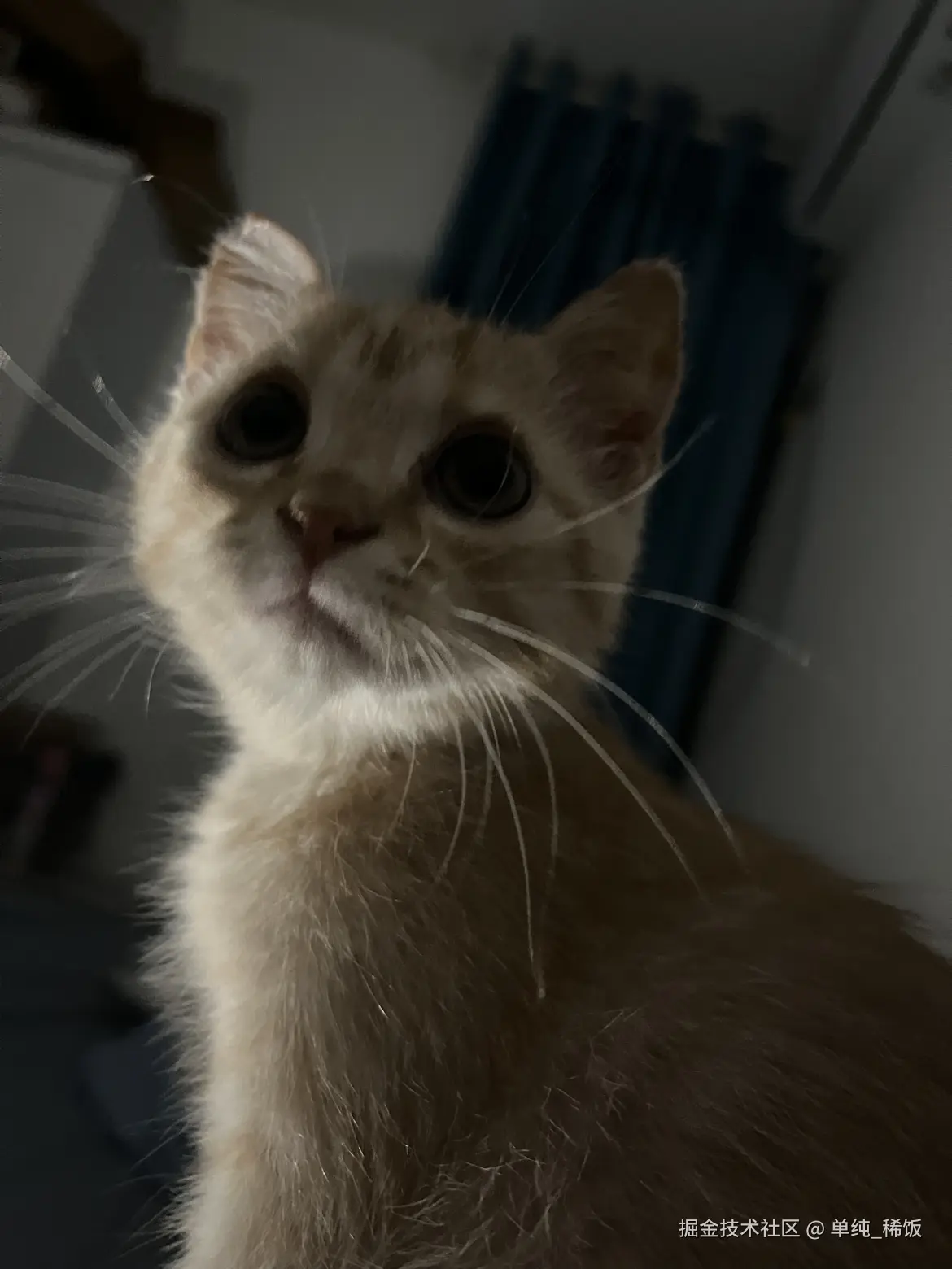 单纯_稀饭于2025-04-06 10:20发布的图片