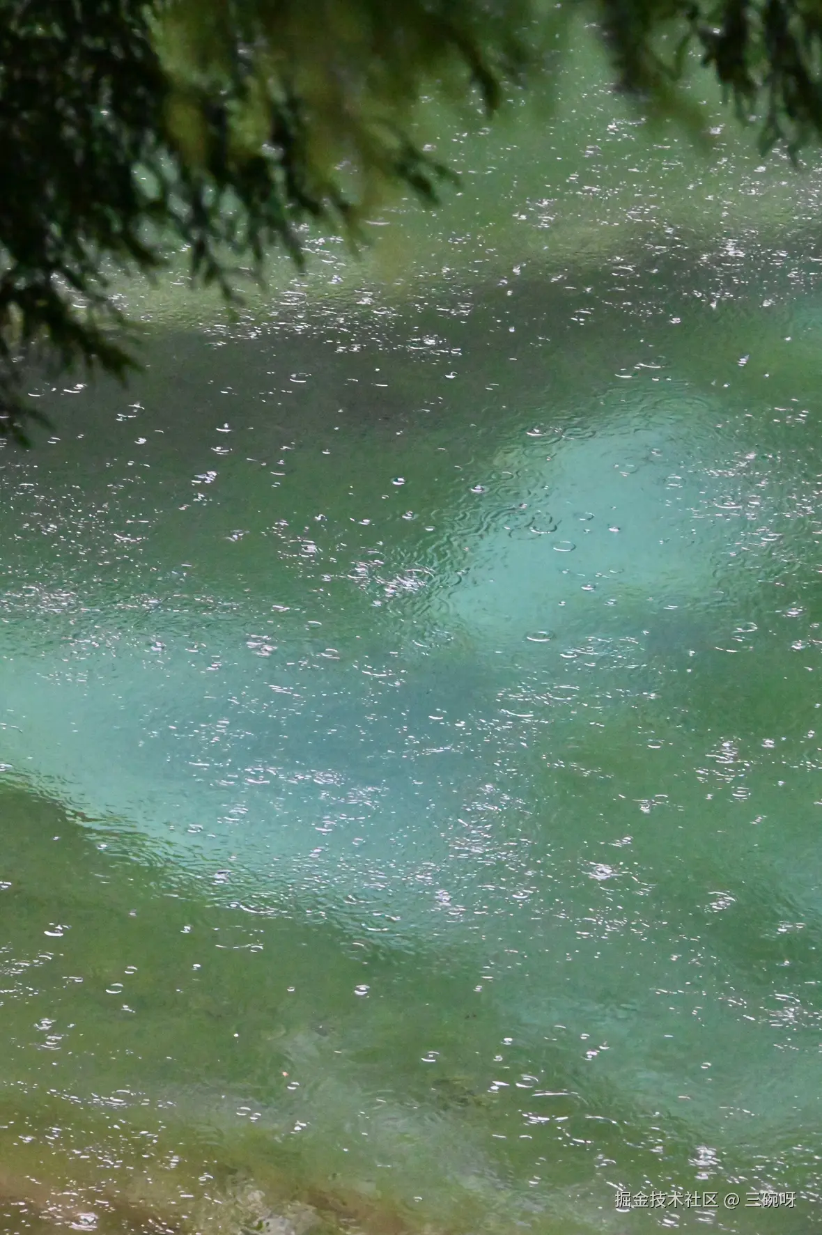 三碗呀于2025-11-19 16:23发布的图片