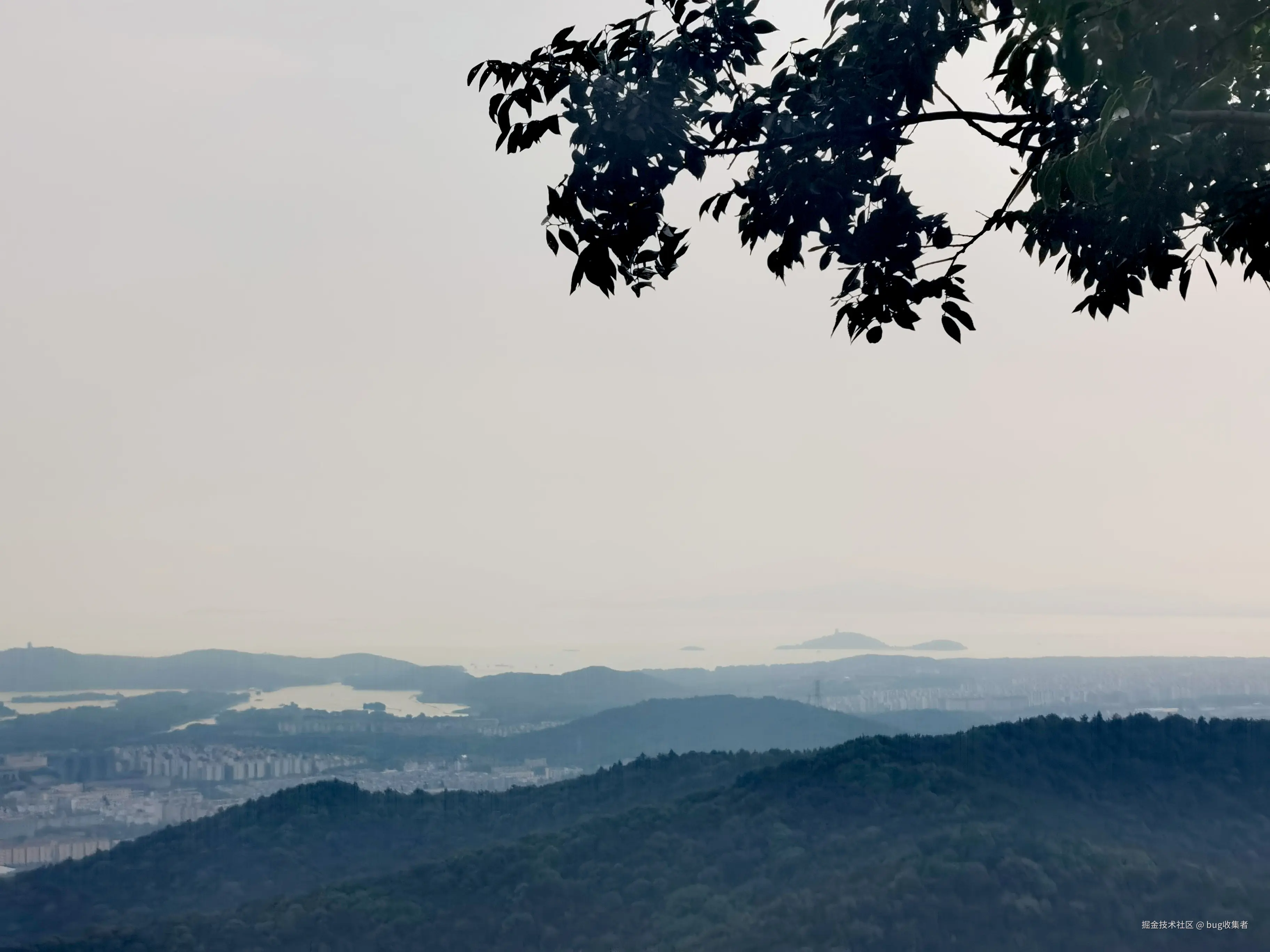 bug收集者于2024-09-02 13:48发布的图片